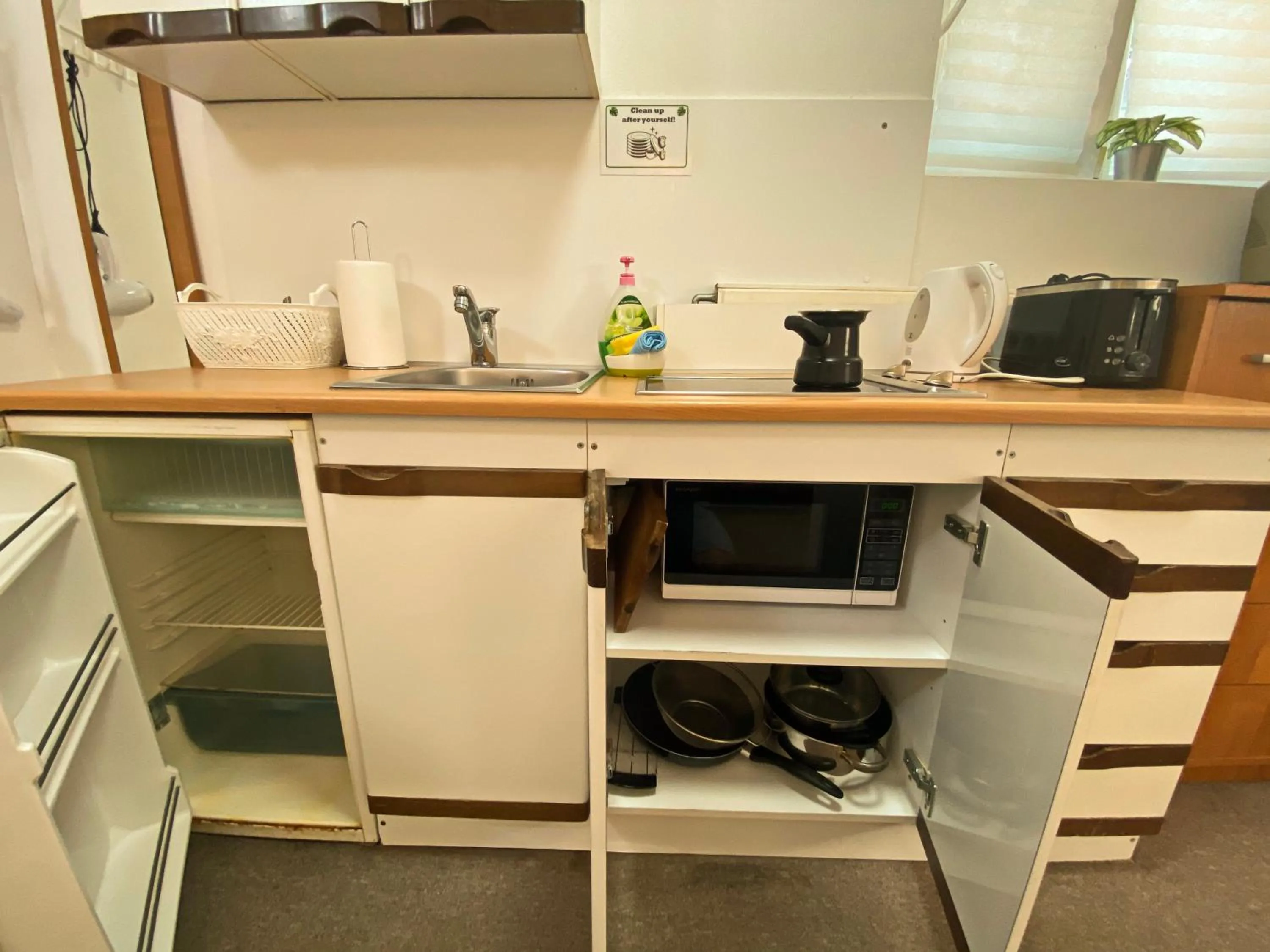 Kitchen or kitchenette in Family Guesthouse GreenSLO