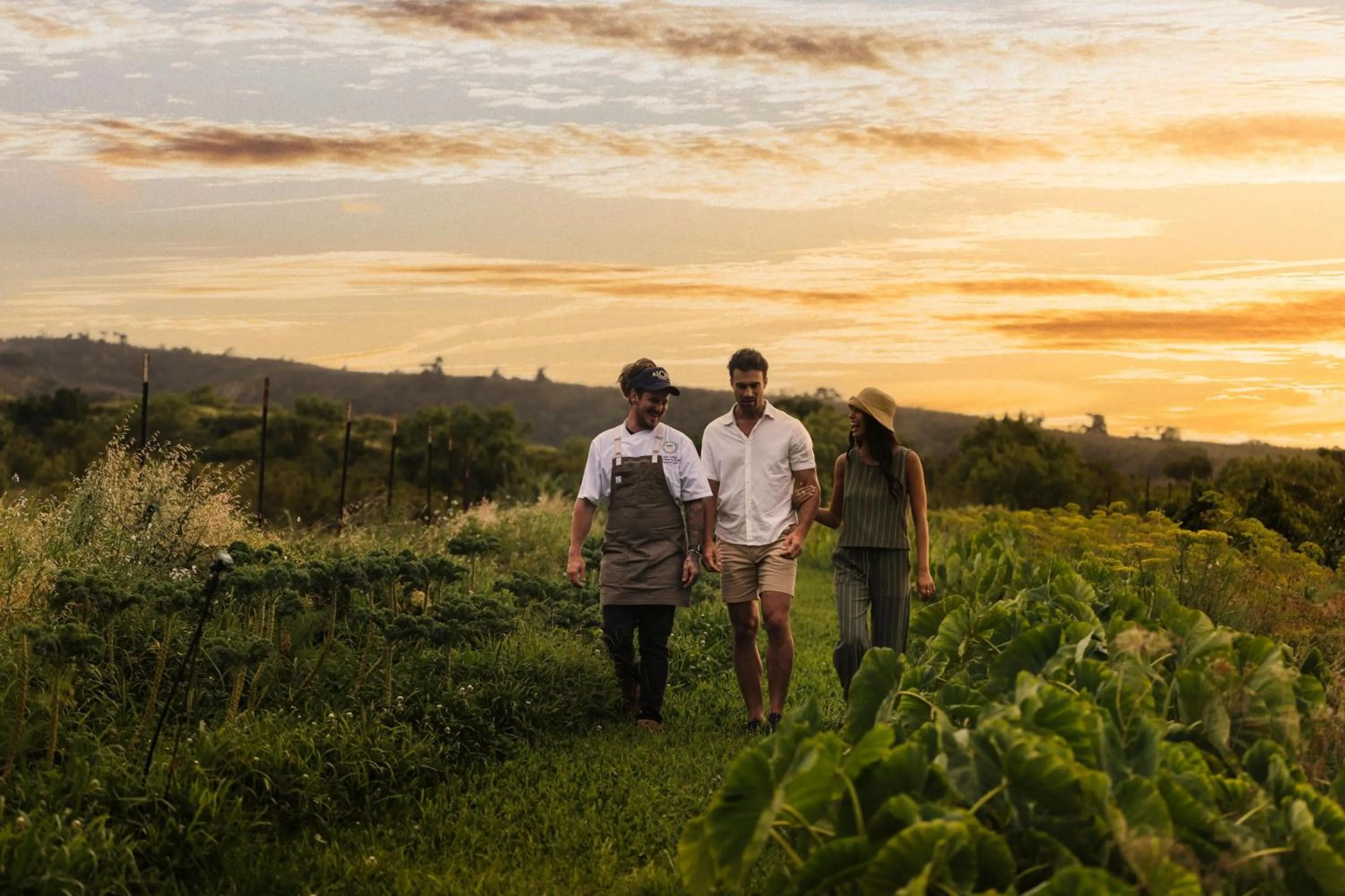 Other in The Ritz-Carlton Maui, Kapalua
