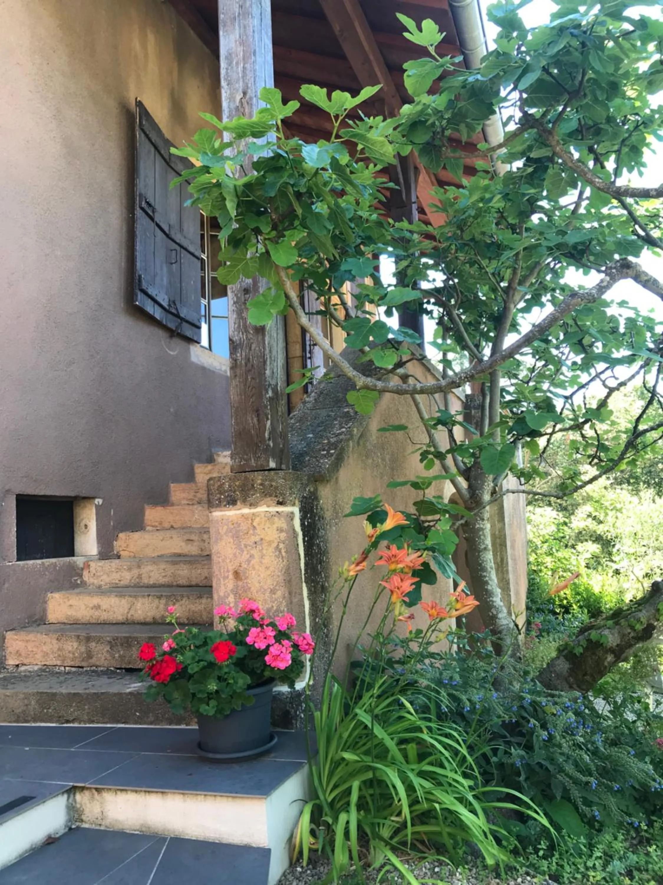 Garden in Chez Sylvie et Thierry