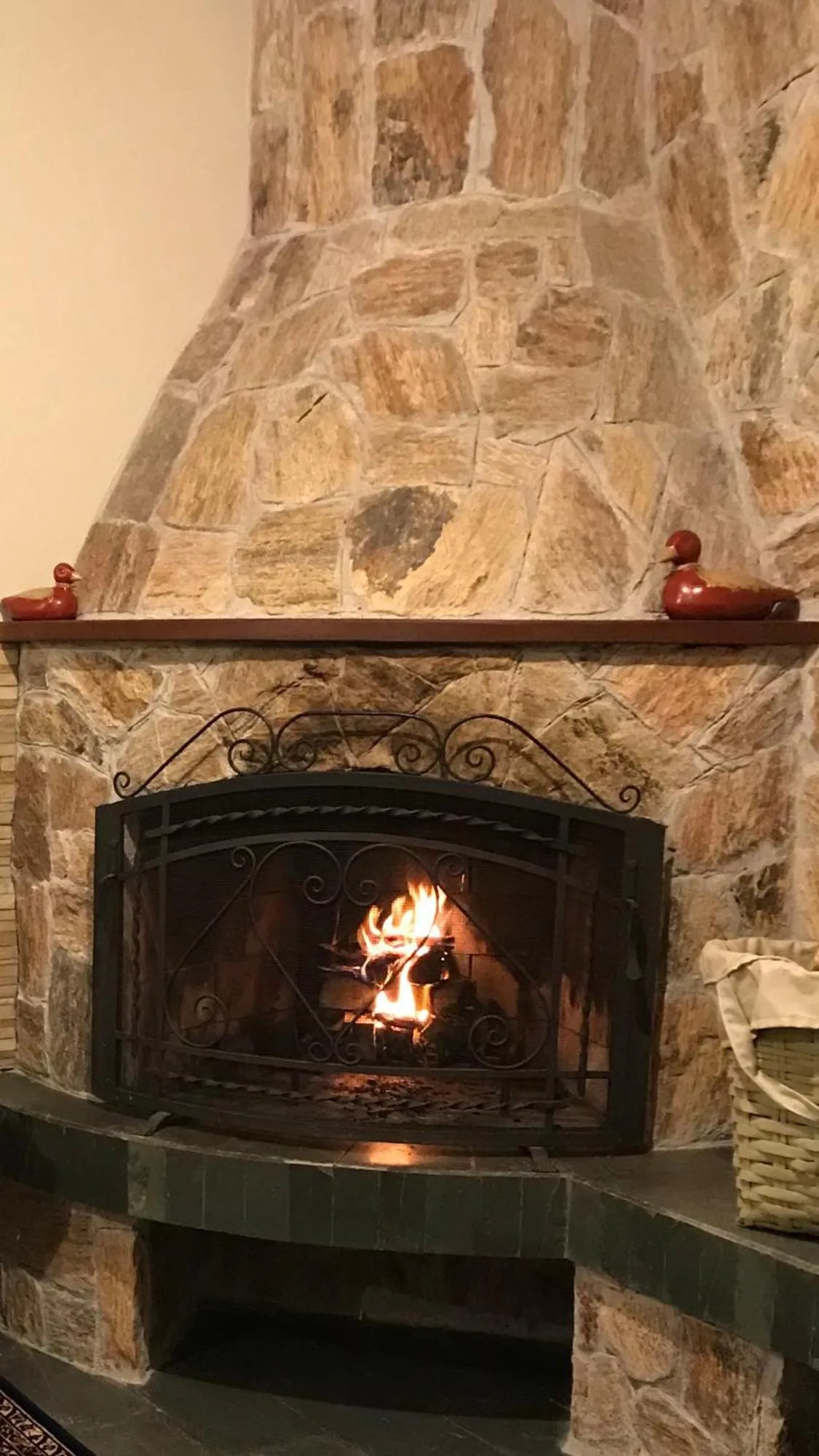 Area and facilities in Hospedagem Casadalee chalé com piscina privativa aquecida e Apartamento sem piscina