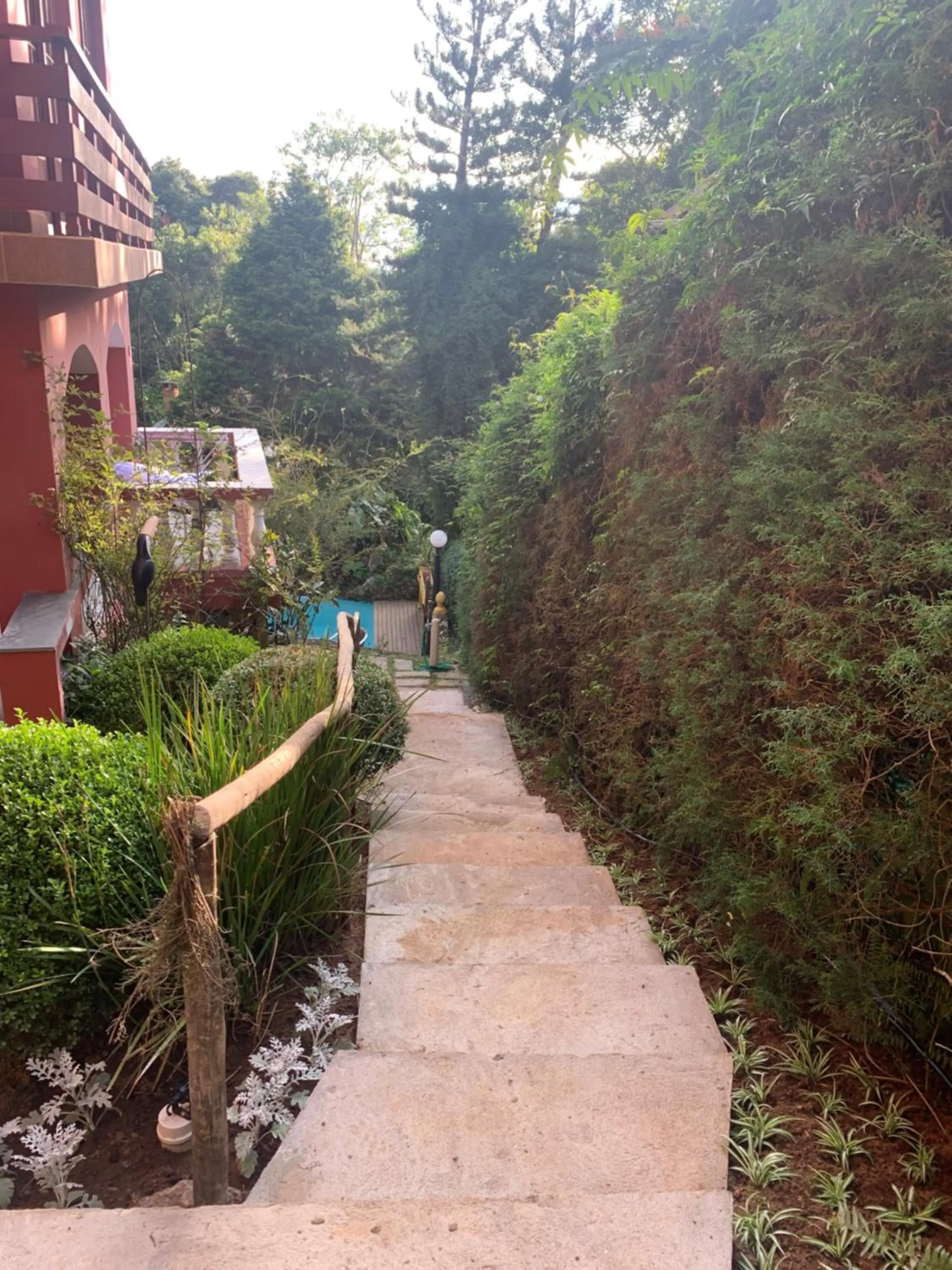 Garden in Hospedagem Casadalee chalé com piscina privativa aquecida e Apartamento sem piscina