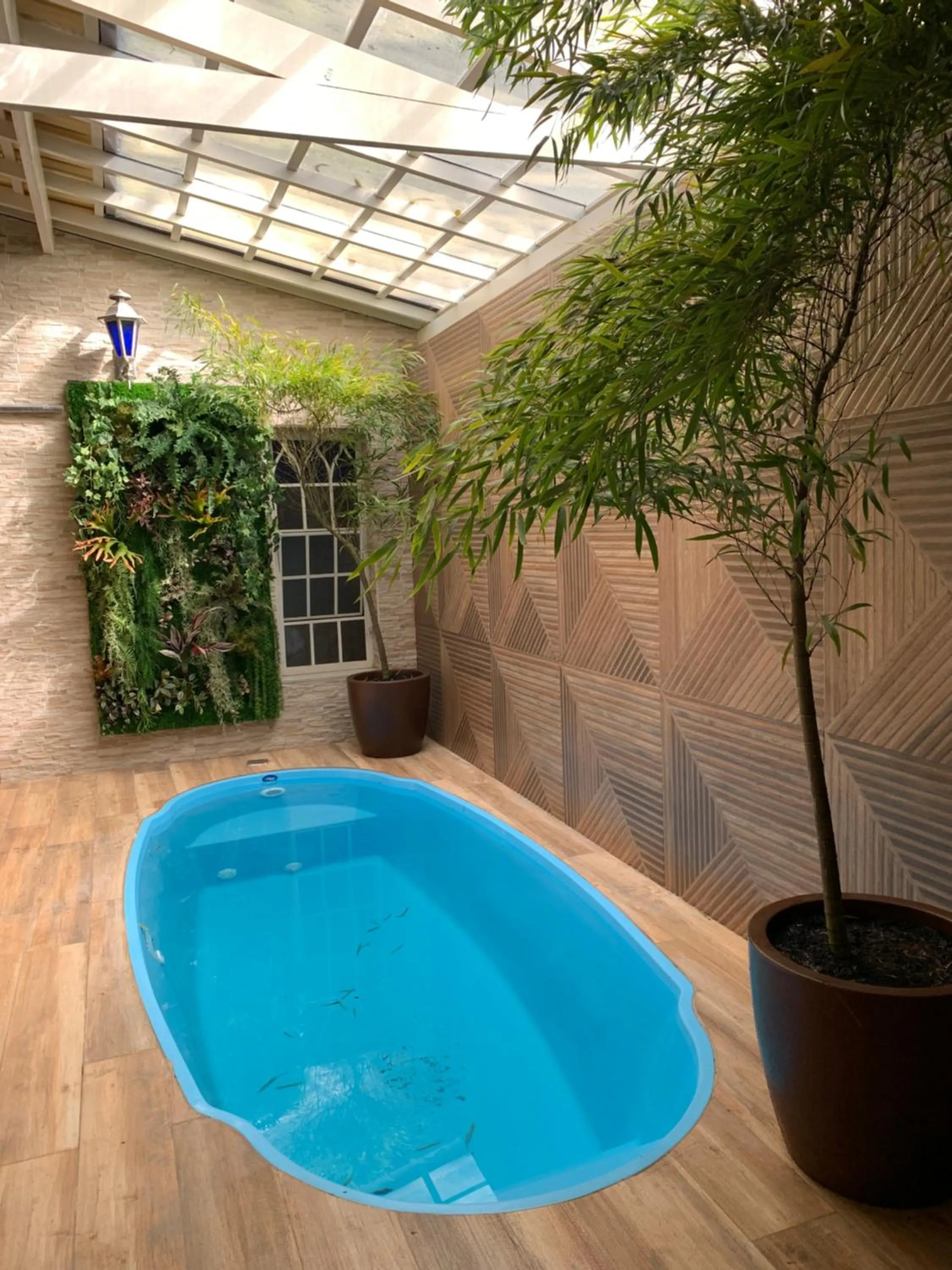 Pool view in Hospedagem Casadalee chalé com piscina privativa aquecida e Apartamento sem piscina