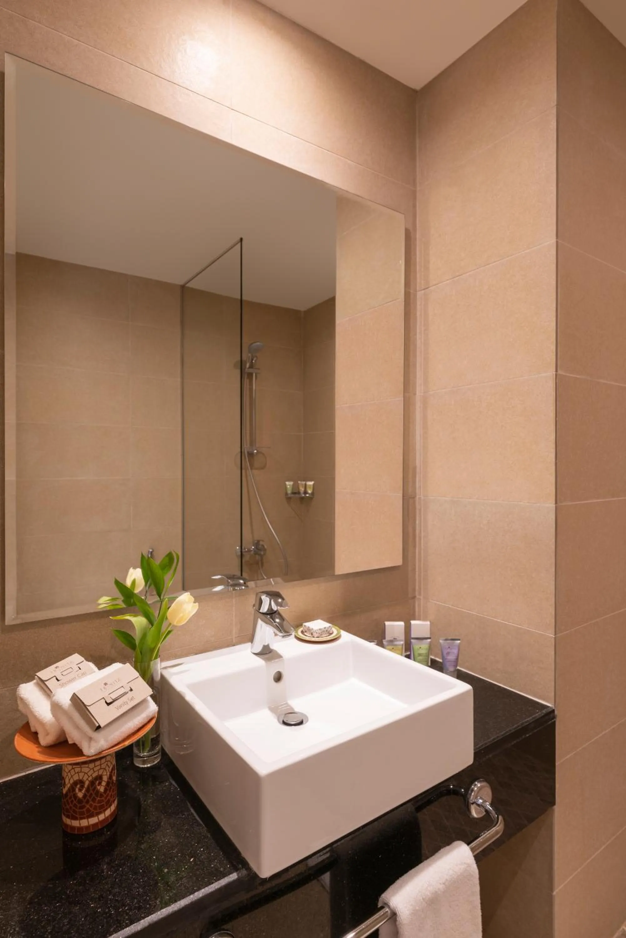 Bathroom in Grand Mercure Petra