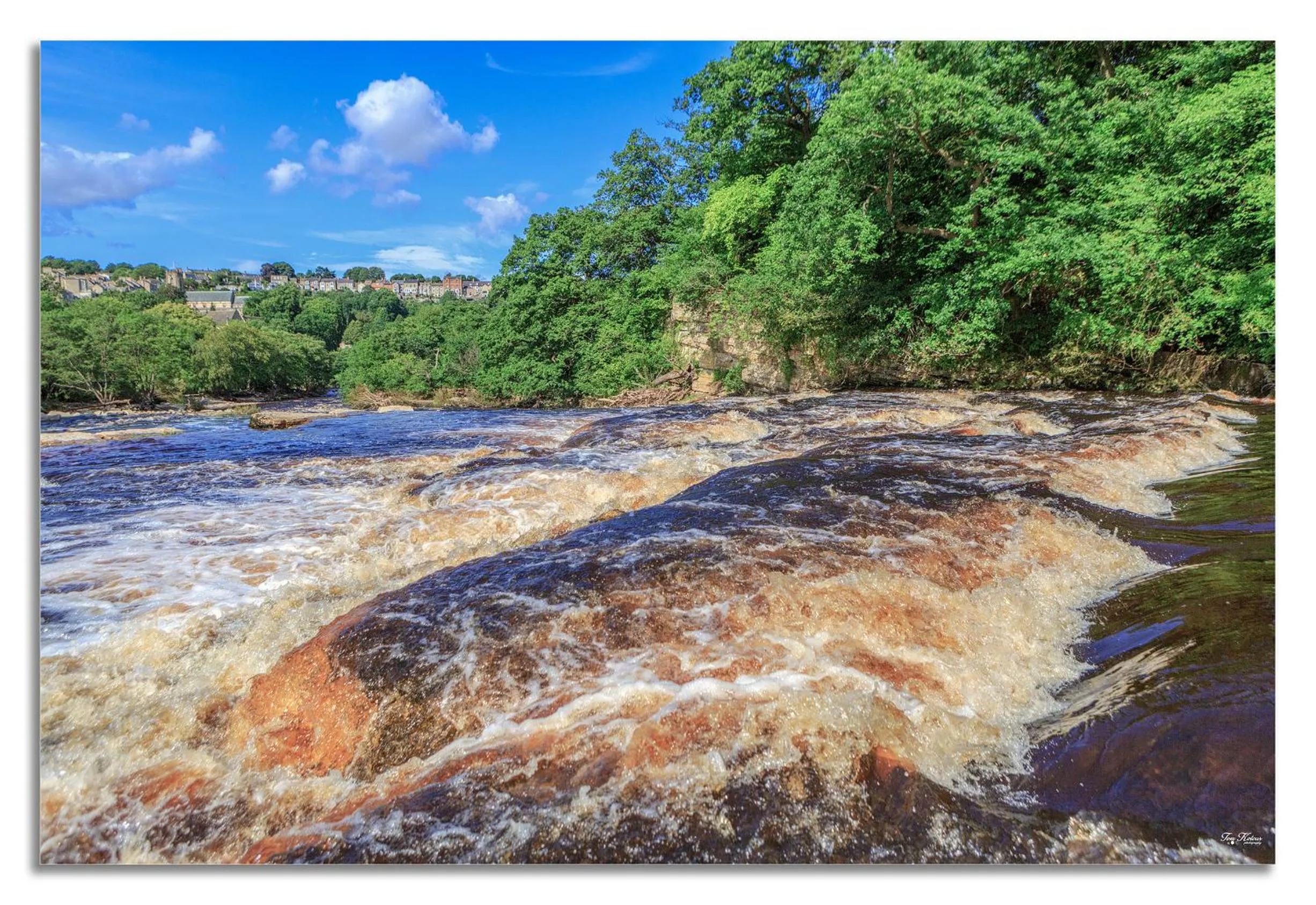 Natural landscape in Strawberry House