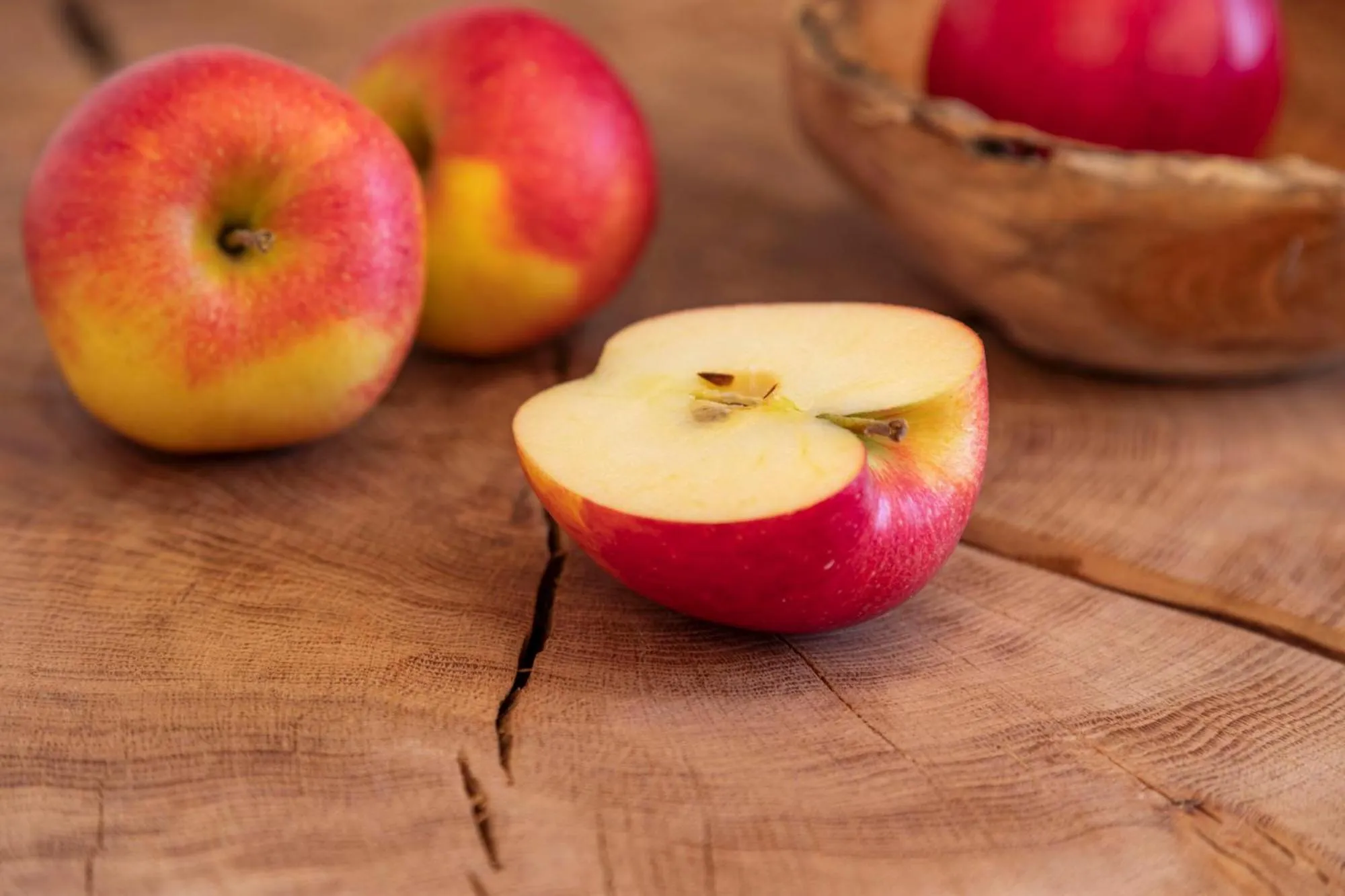 Landgasthof Paradies