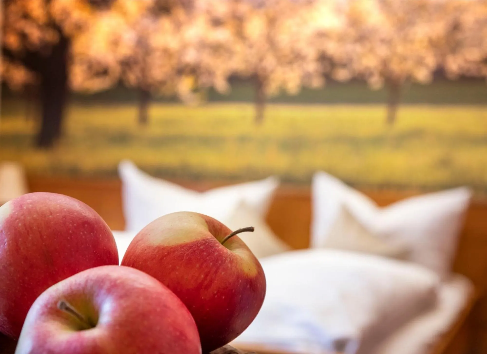 Photo of the whole room in Landgasthof Paradies