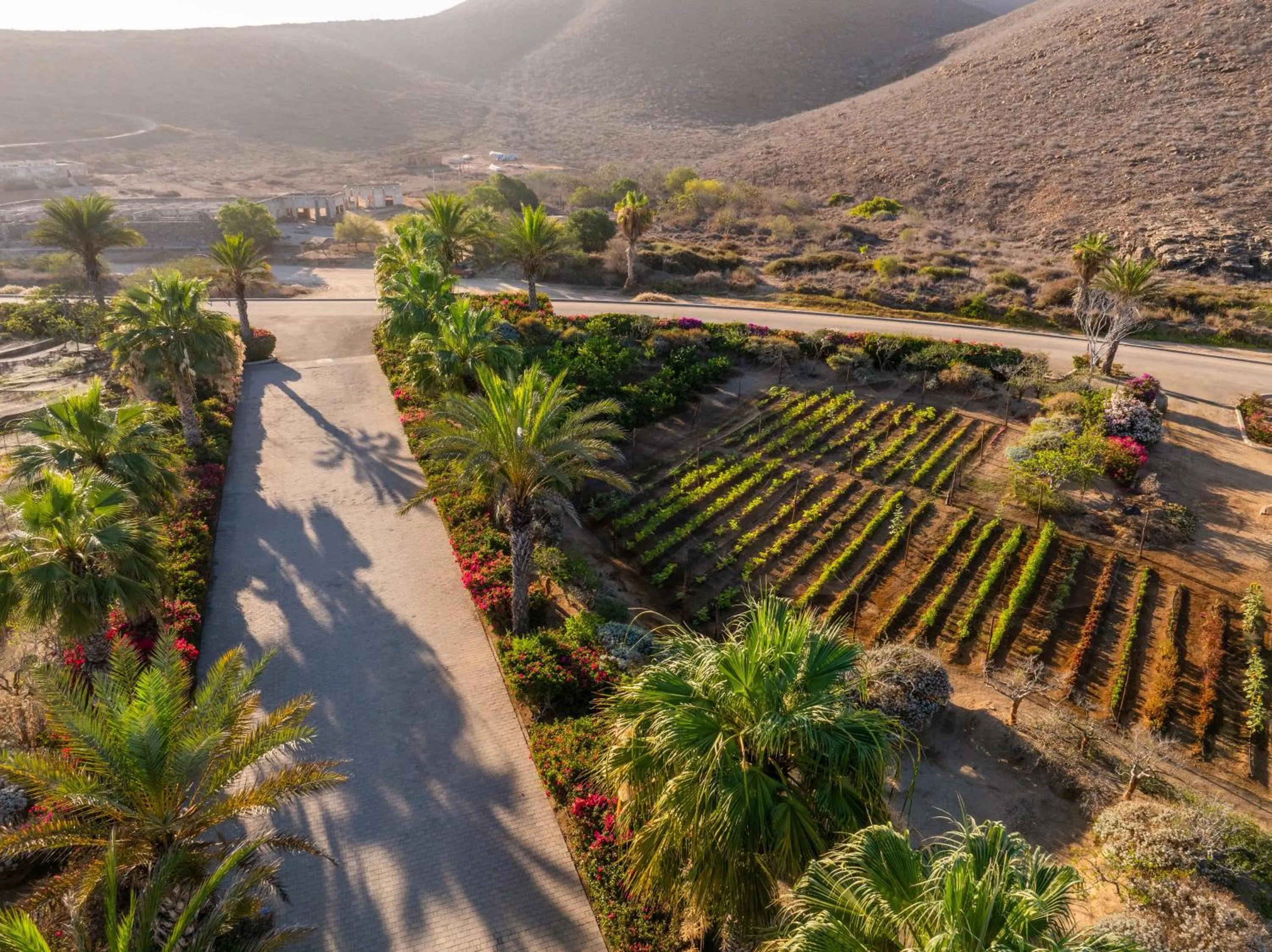 Hotel San Cristobal Adults 15+