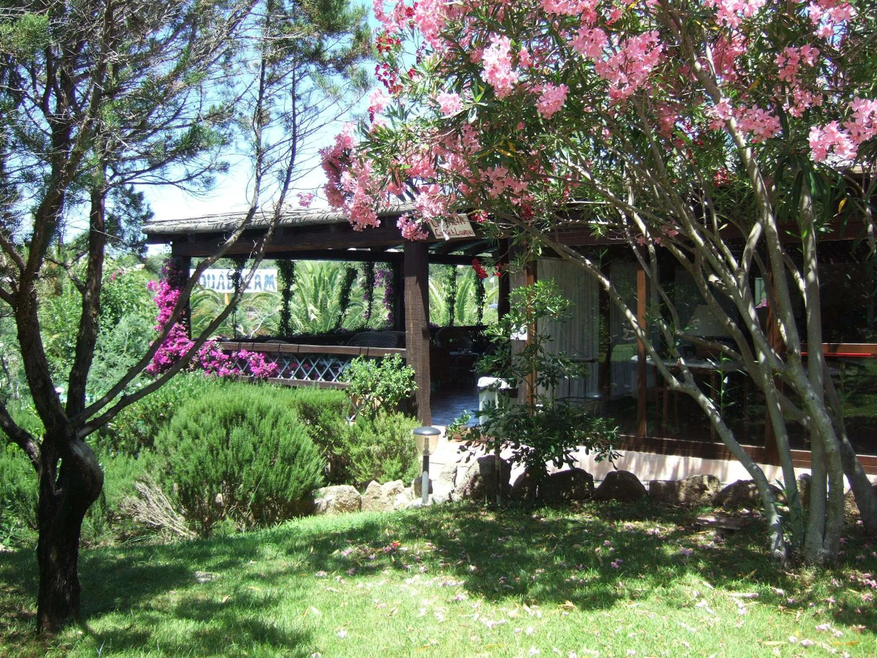 Garden in La Jacia Hotel & Resort