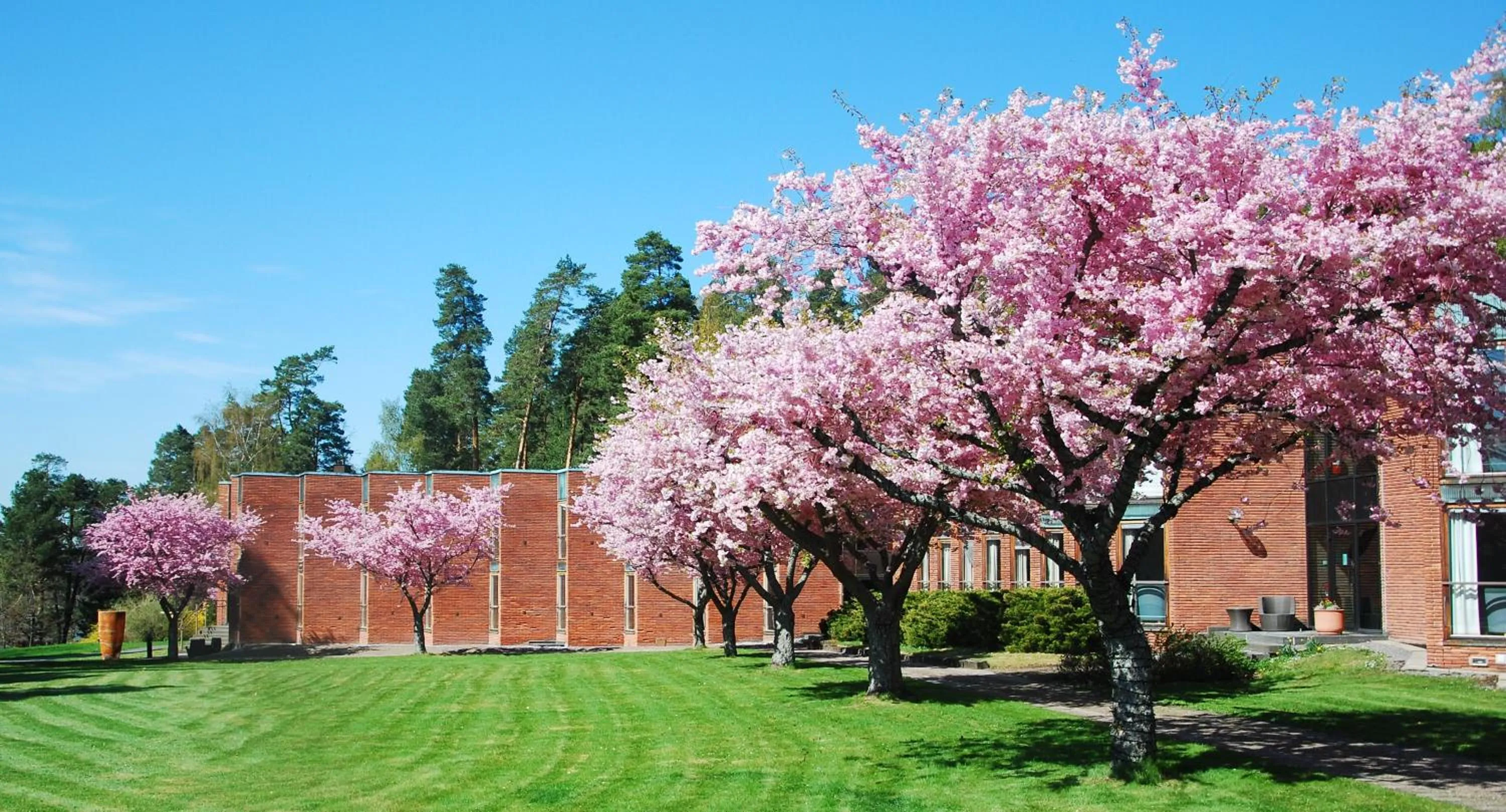 Garden in Skogshem & Wijk