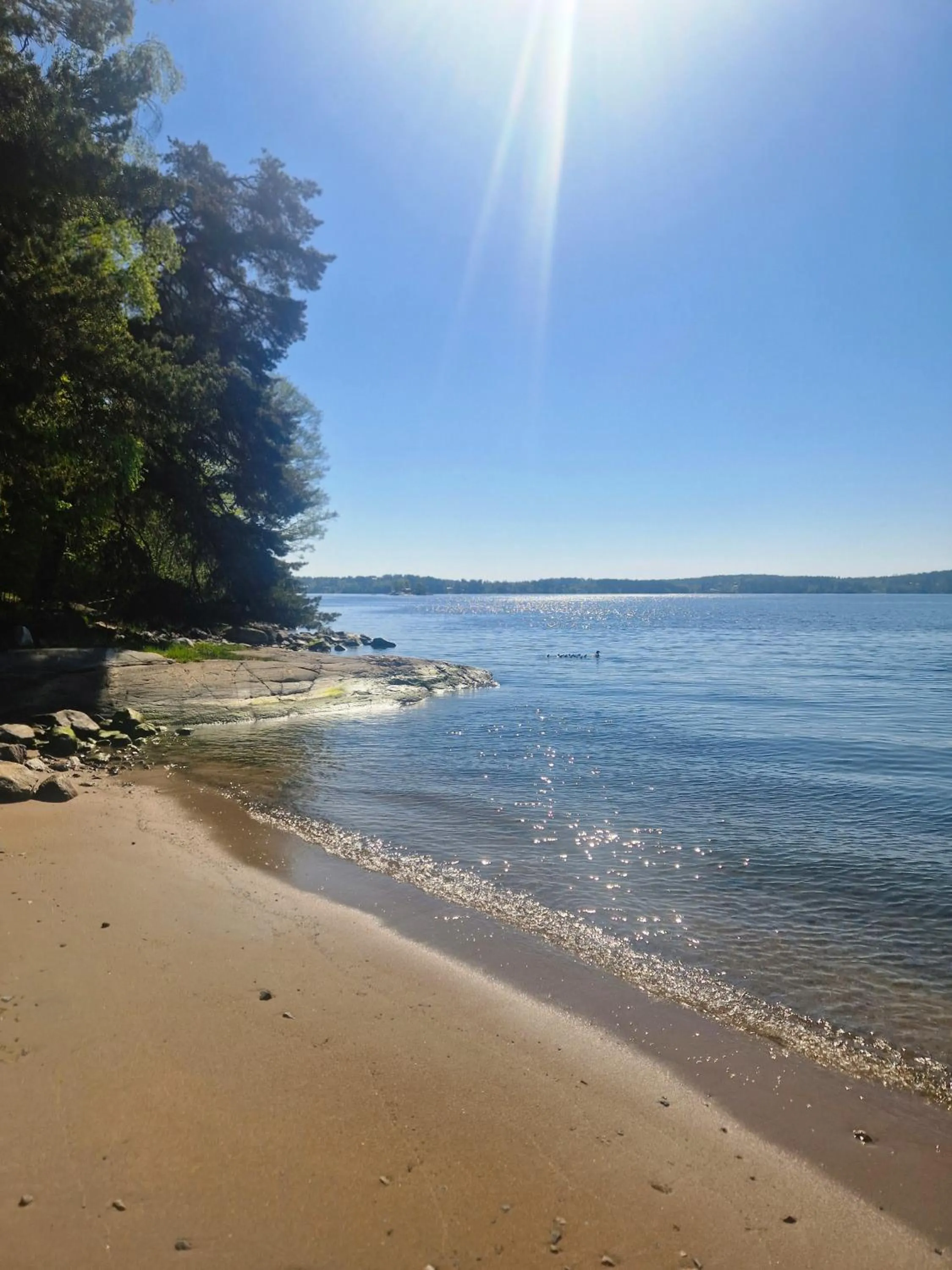 Beach in Skogshem & Wijk
