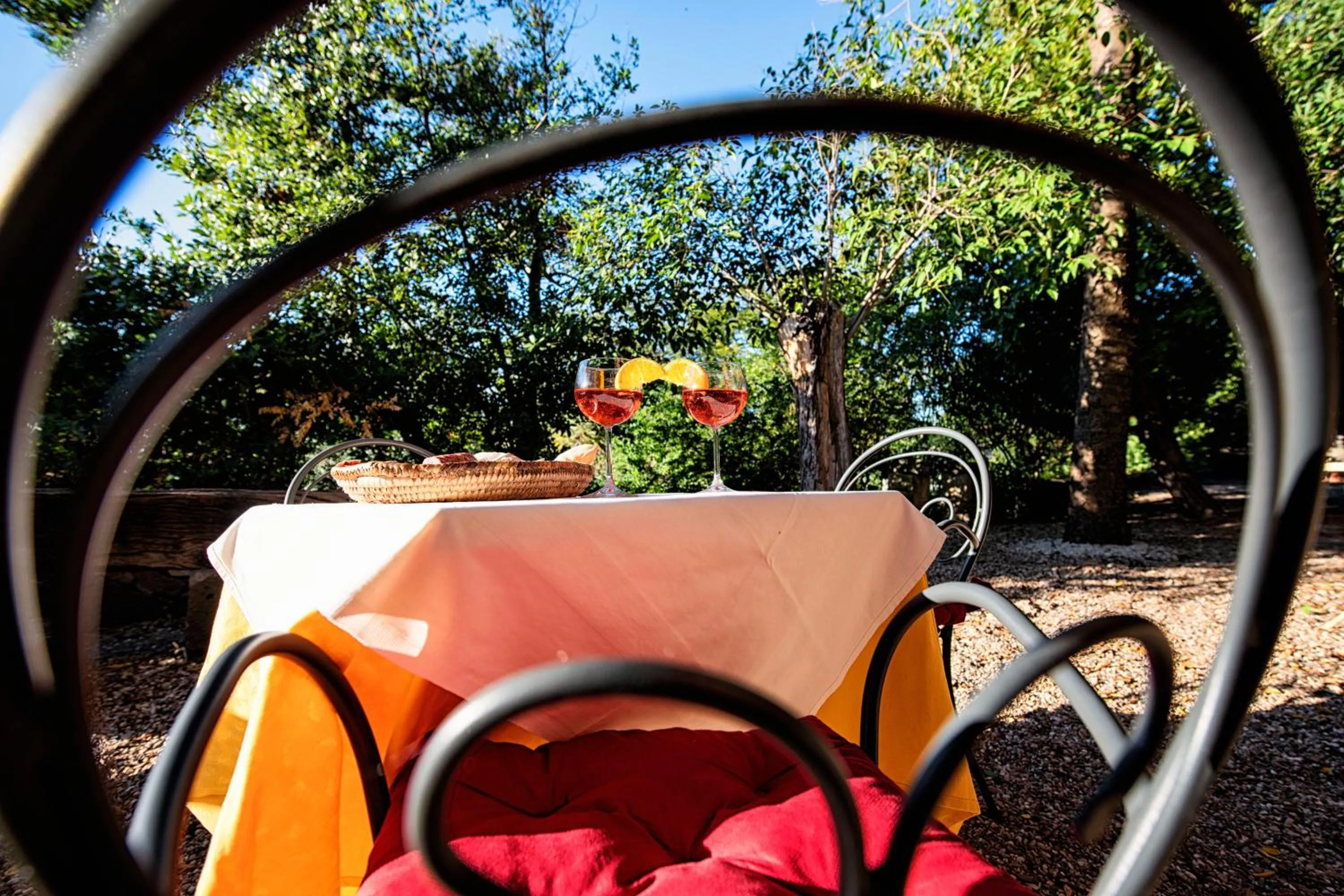 Garden view in Hotel Villa Gli Asfodeli