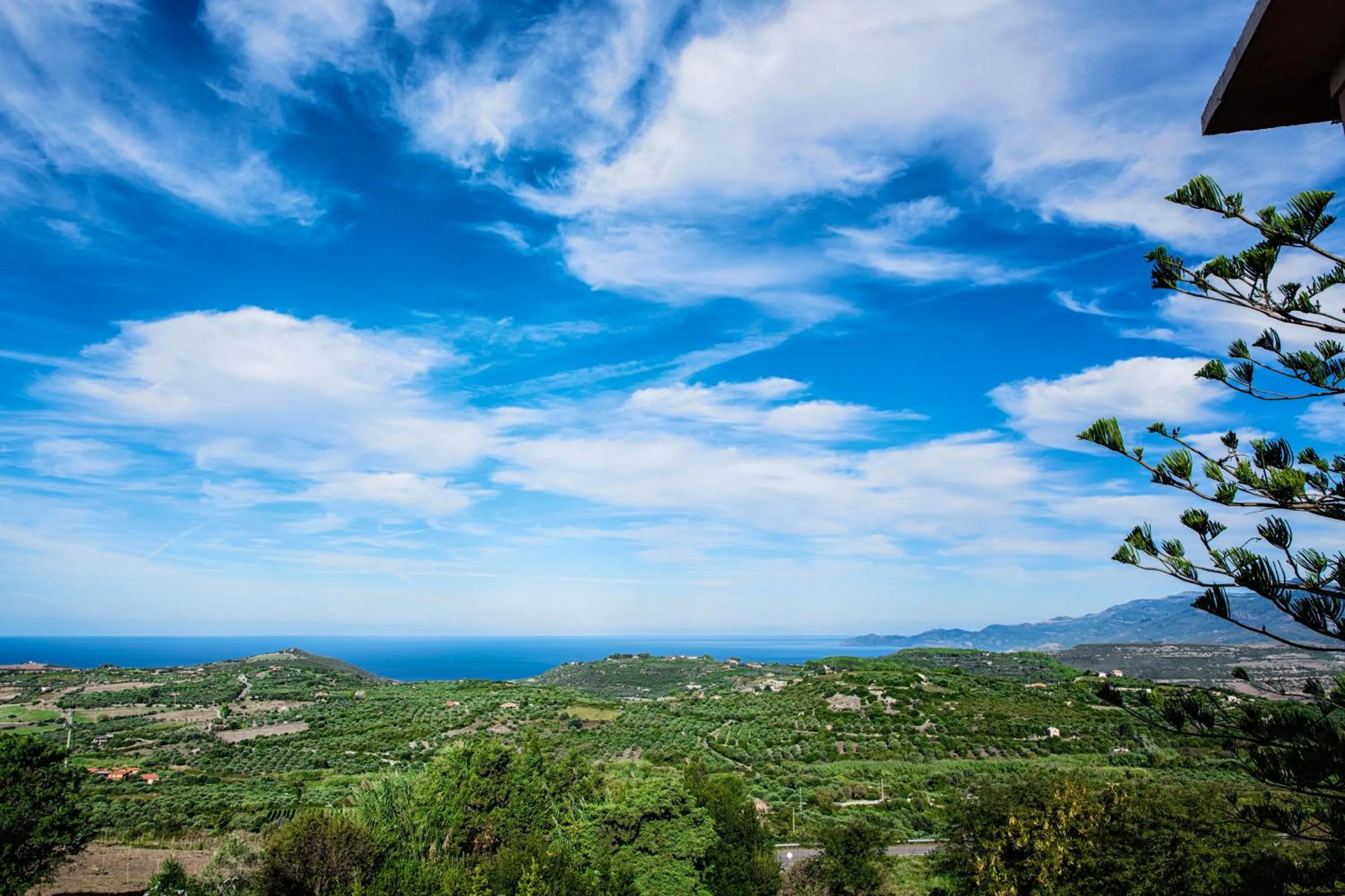 Balcony/Terrace in Hotel Villa Gli Asfodeli