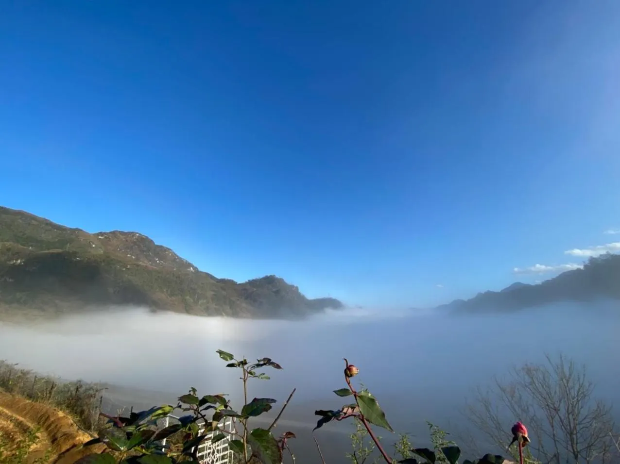 Natural landscape in Sapa Garden Hotel