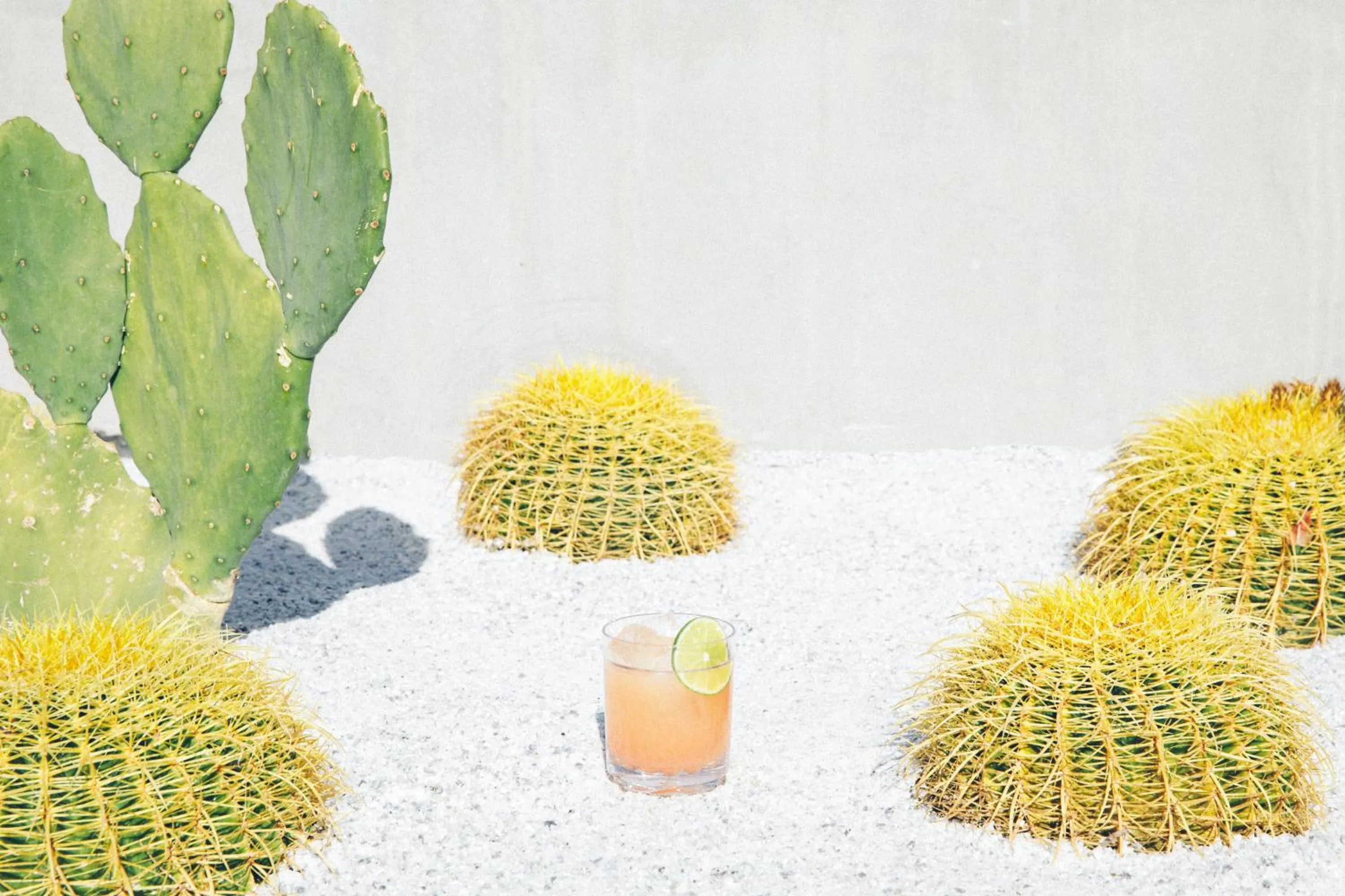 Restaurant/places to eat in Kimpton Rowan Palm Springs Hotel by IHG