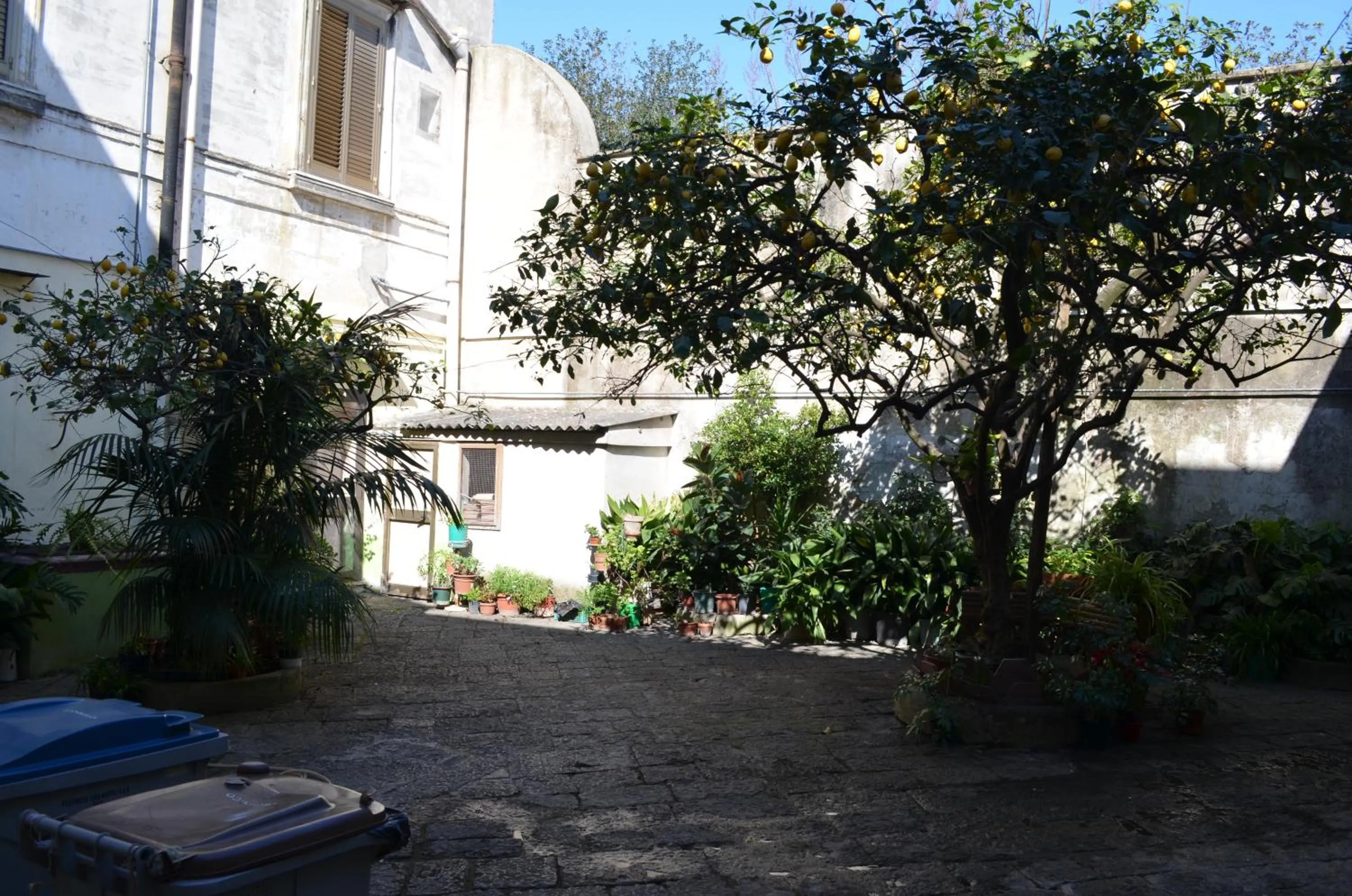 Garden in Santa Maria Maddalena