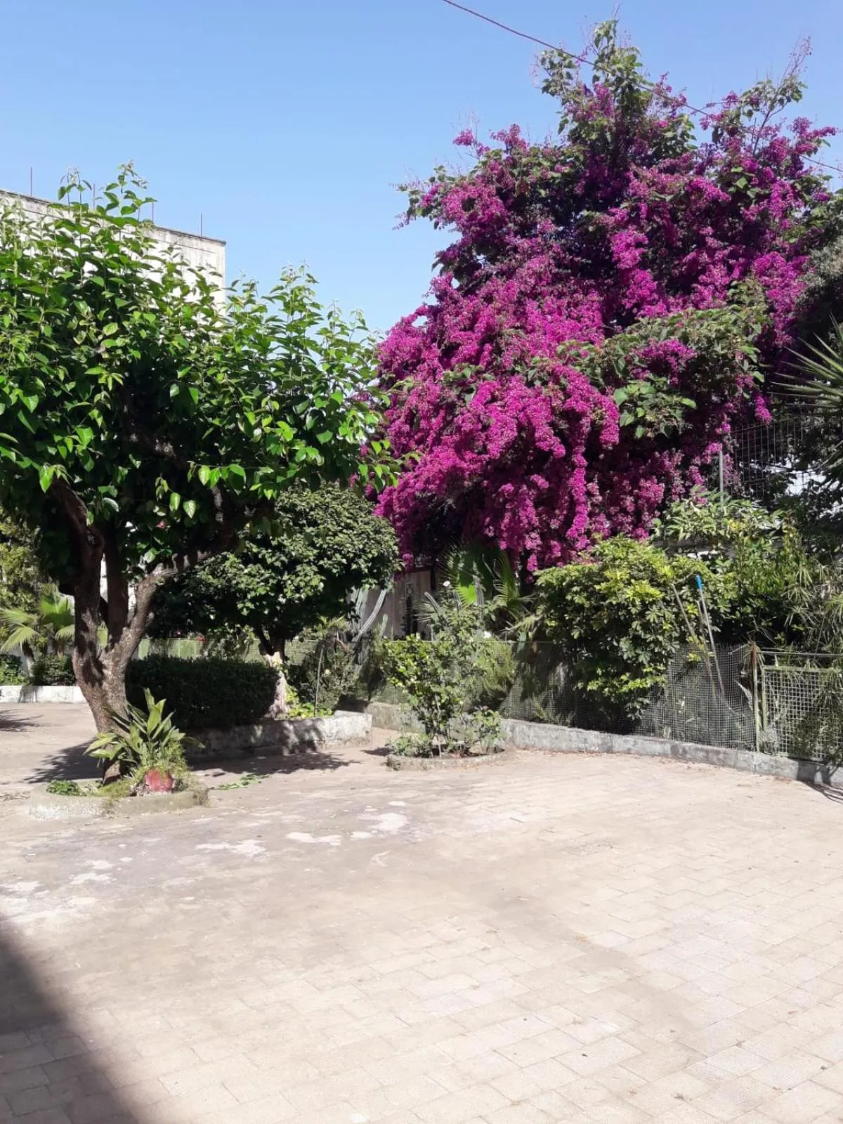 Santa Maria Maddalena