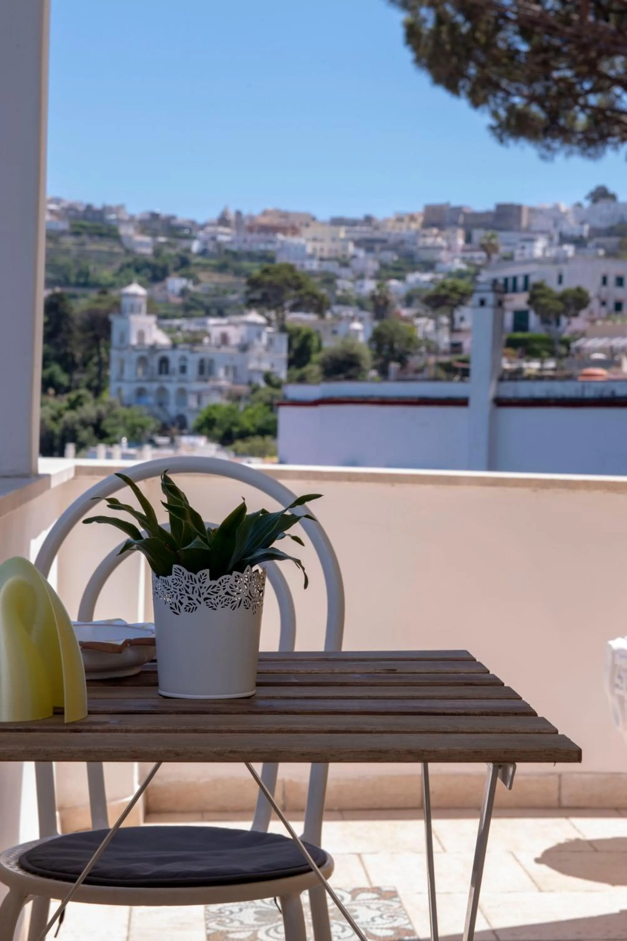 Natural landscape in B&B Punta Vivara