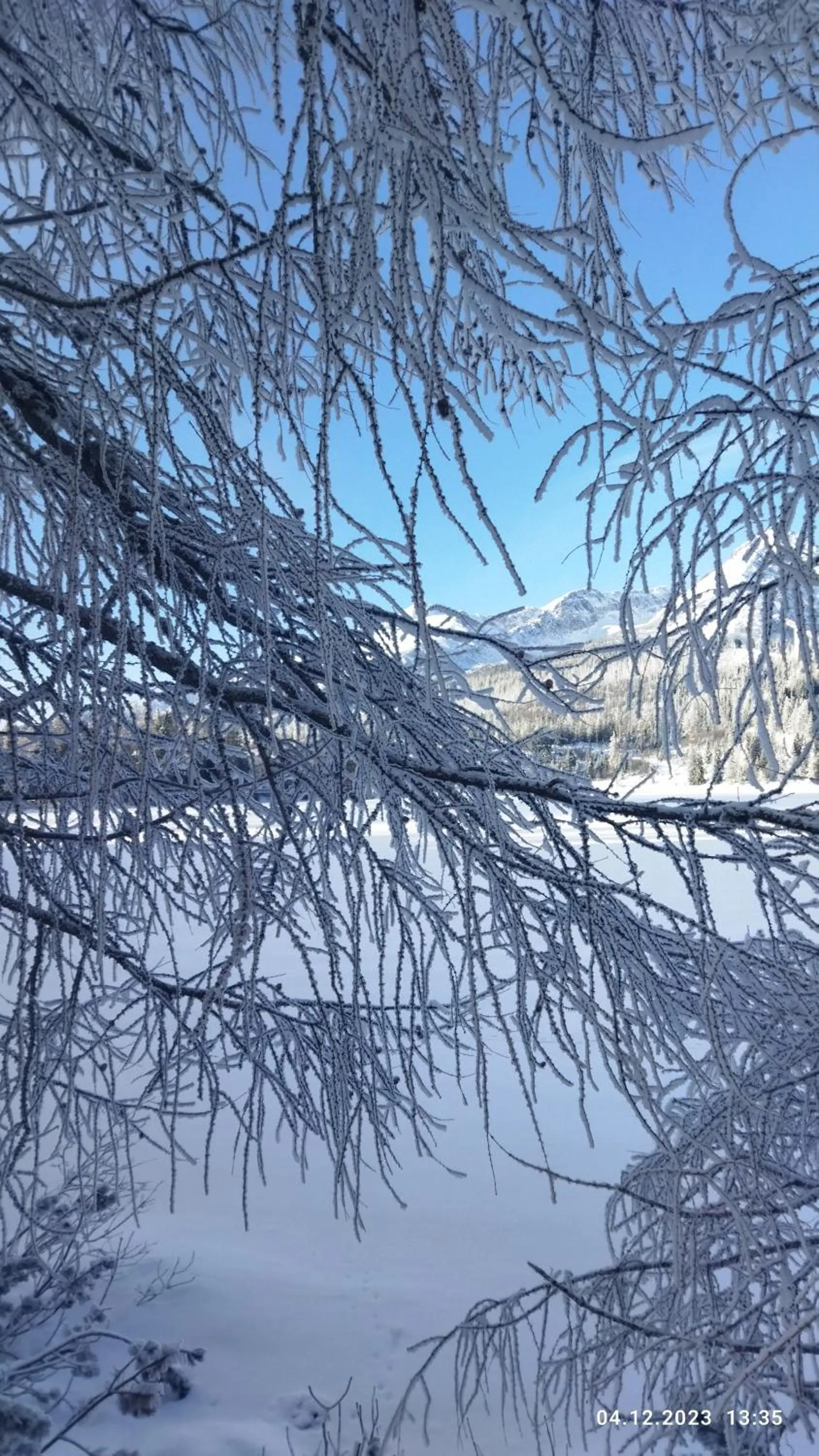 Natural landscape in Lucky Cat