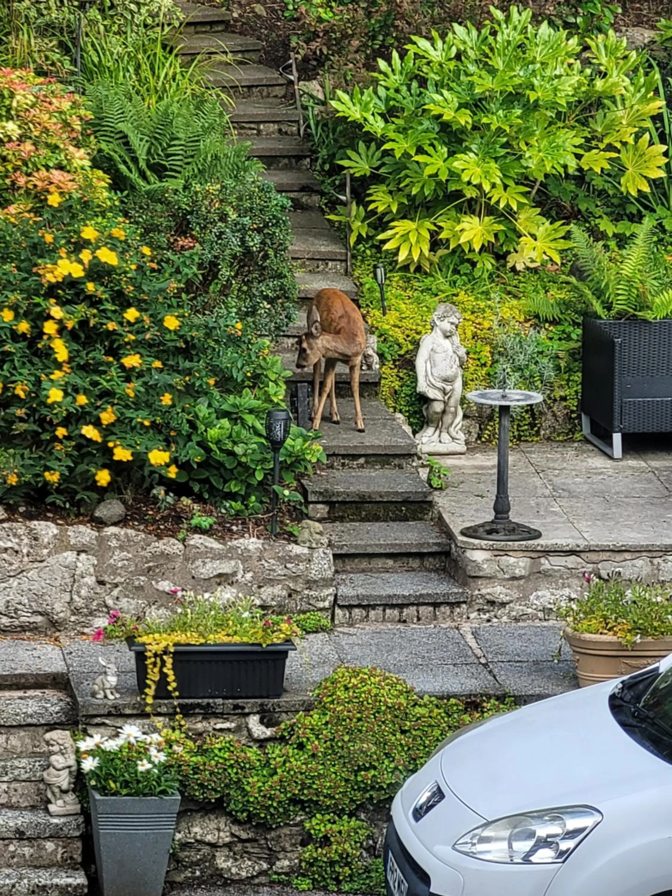 Garden in Elton Guest House