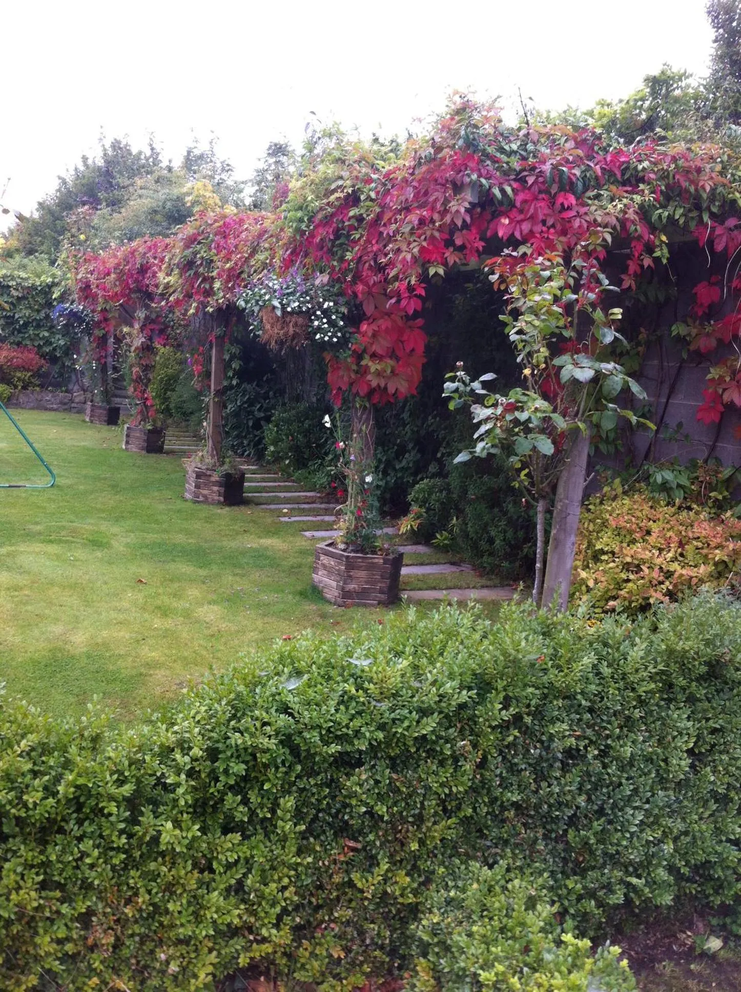 Garden in Knightsbrook Guesthouse