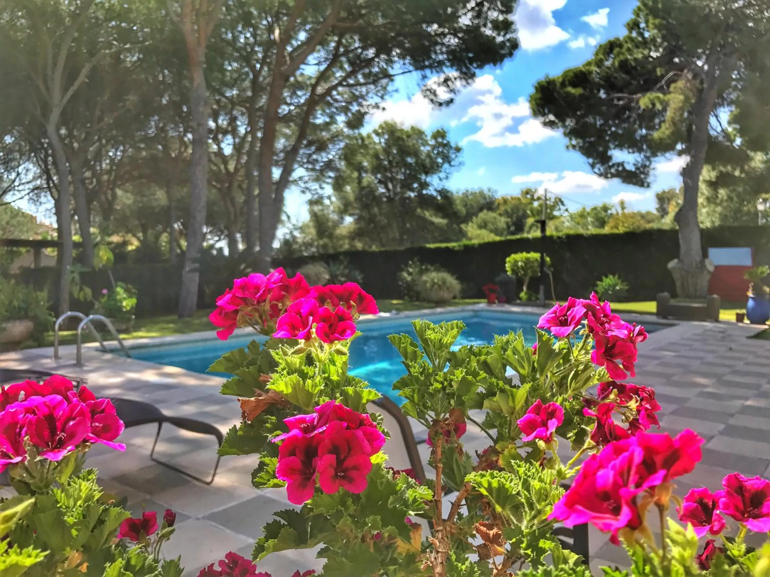 Decorative detail, Swimming Pool in El Nácar Bed & Breakfast