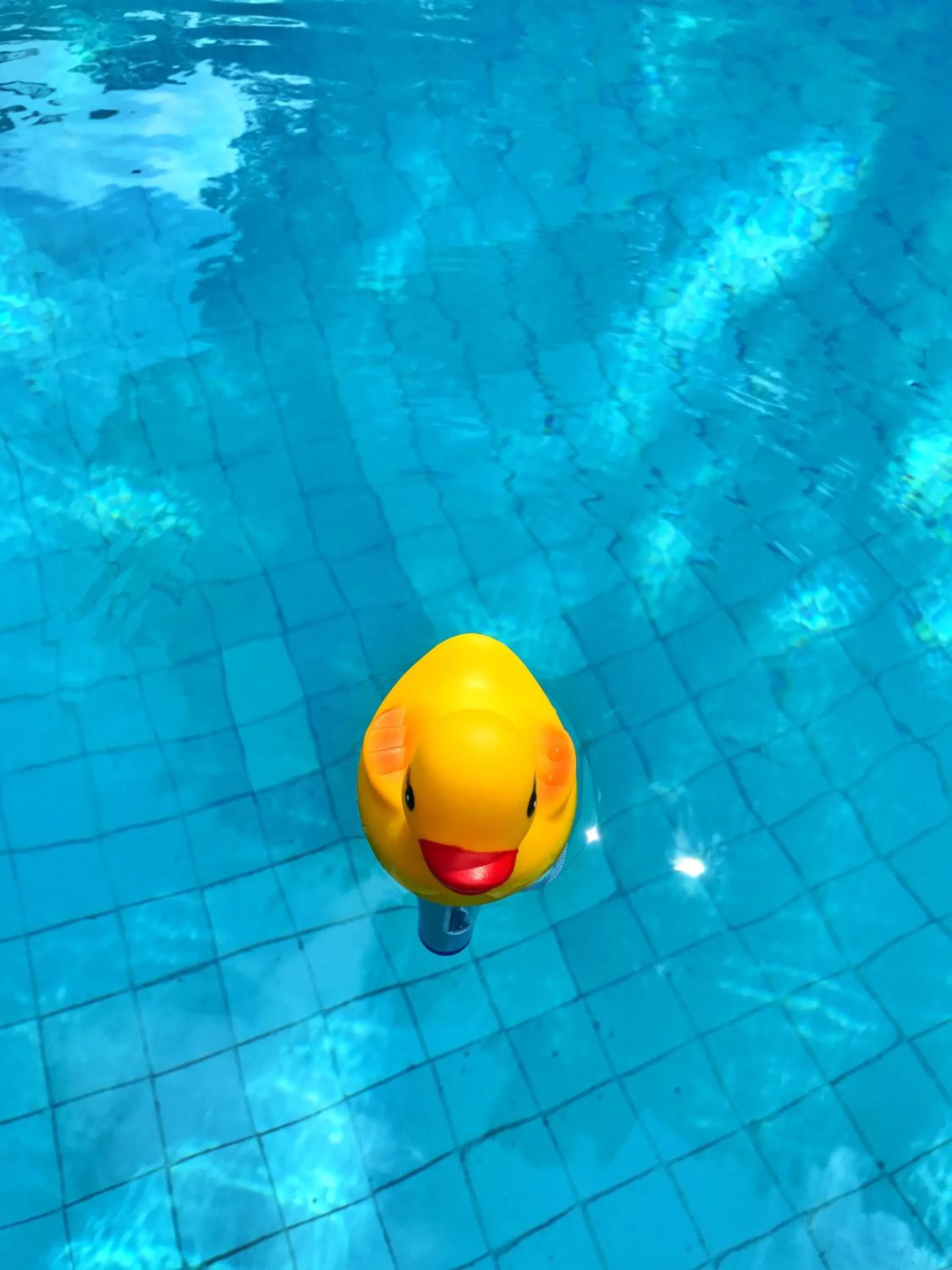 Decorative detail, Swimming Pool in El Nácar Bed & Breakfast