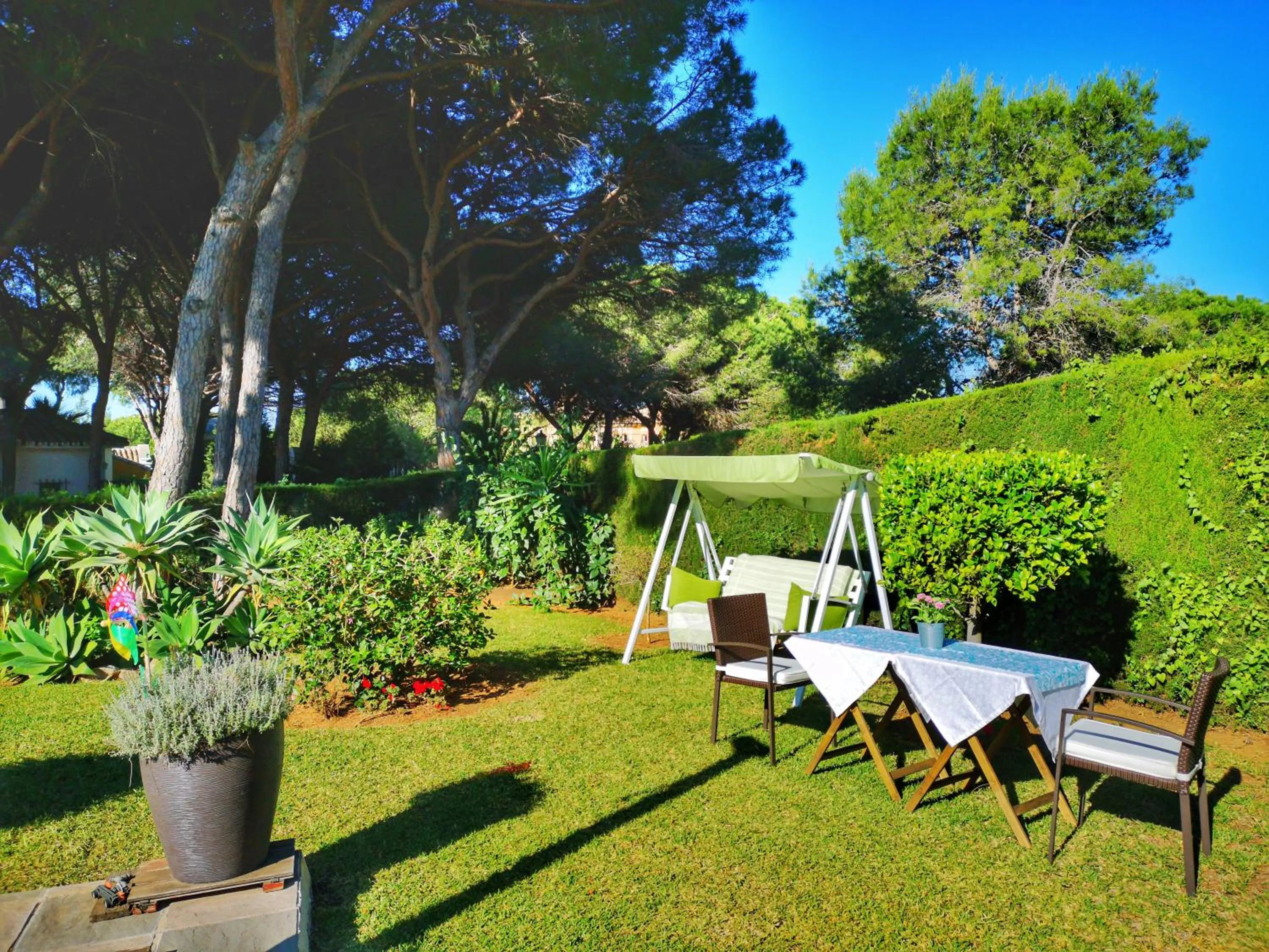 Garden in El Nácar Bed & Breakfast