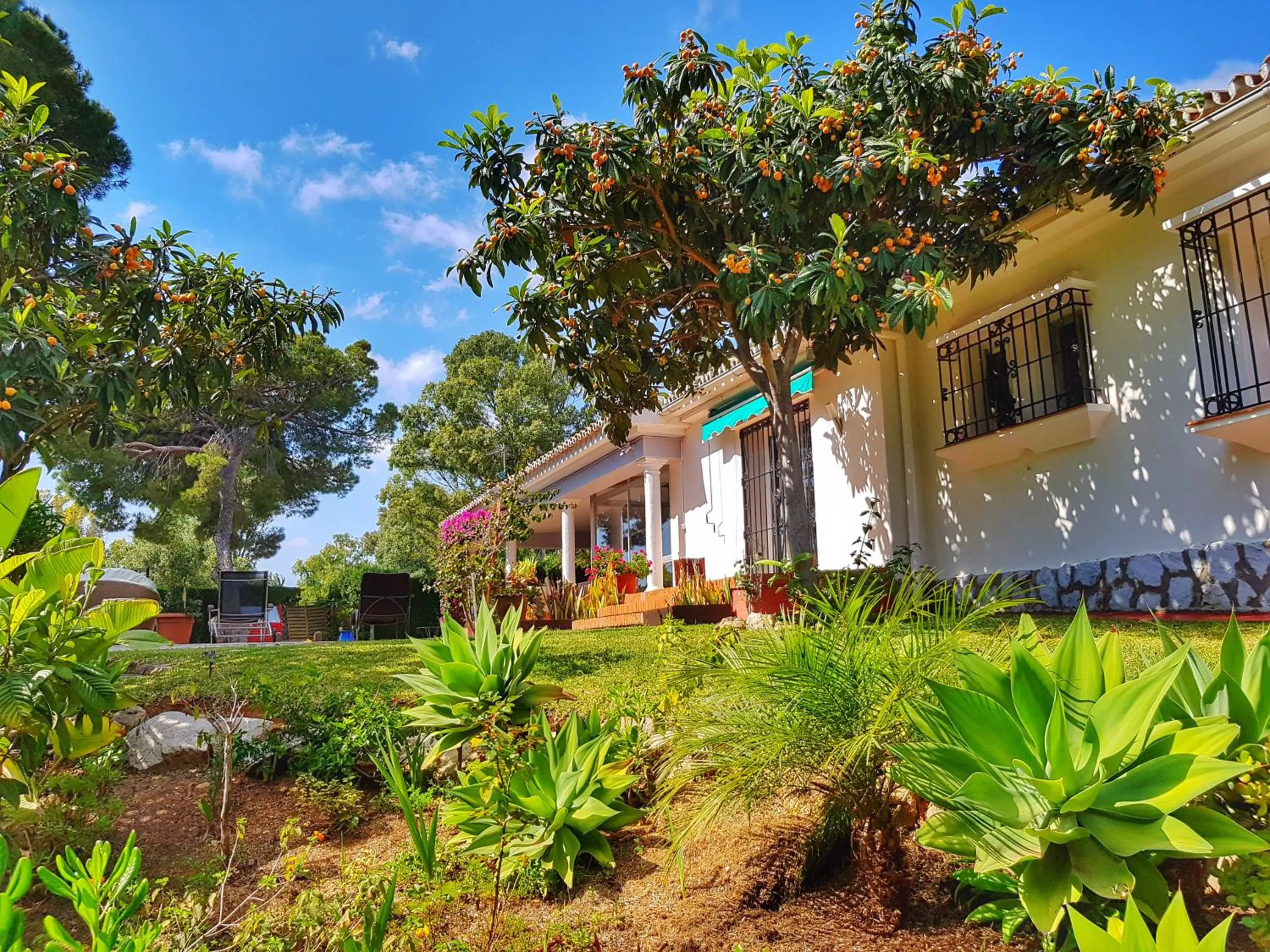 Garden, Property Building in El Nácar Bed & Breakfast