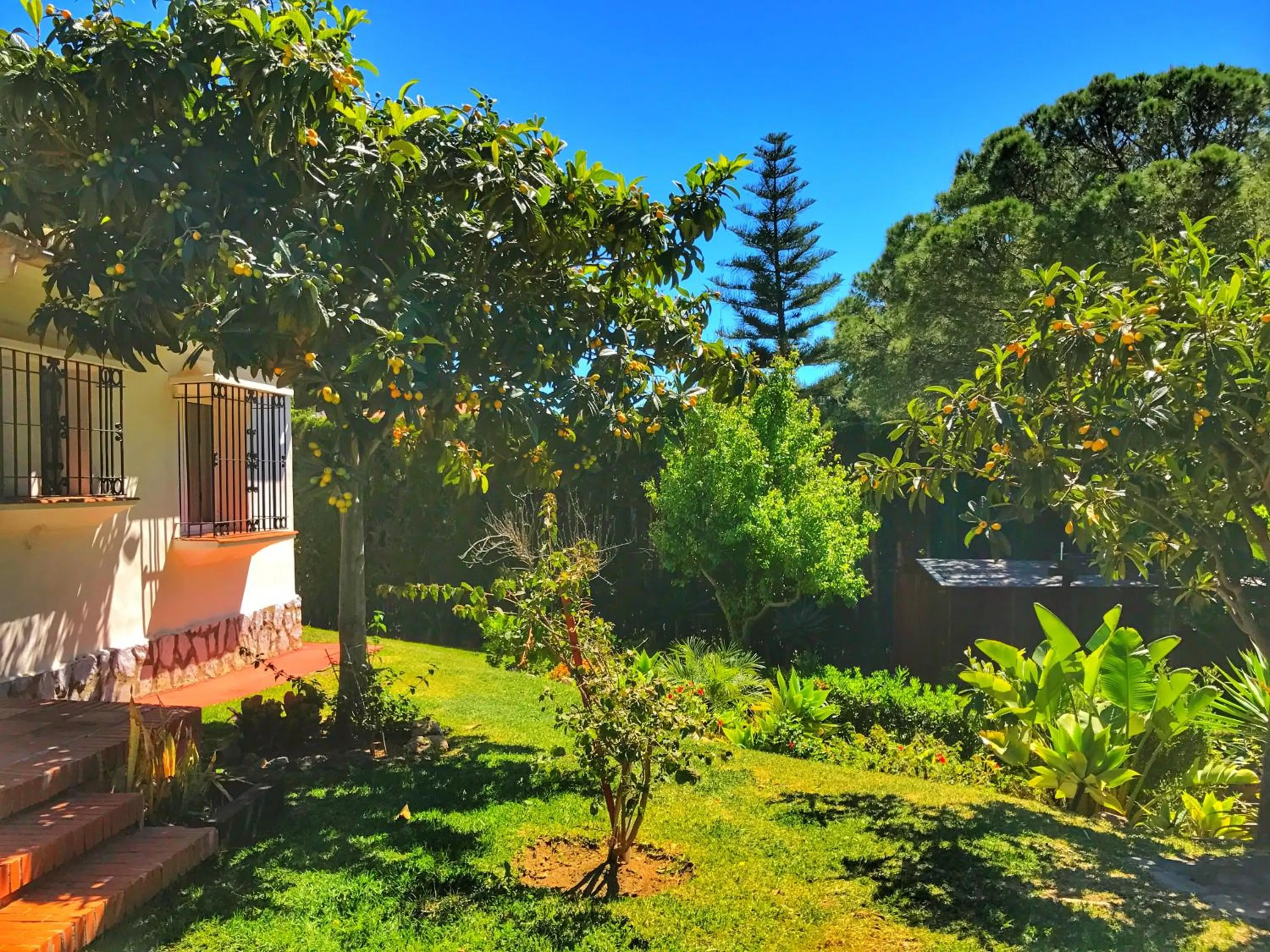 Garden view, Garden in El Nácar Bed & Breakfast