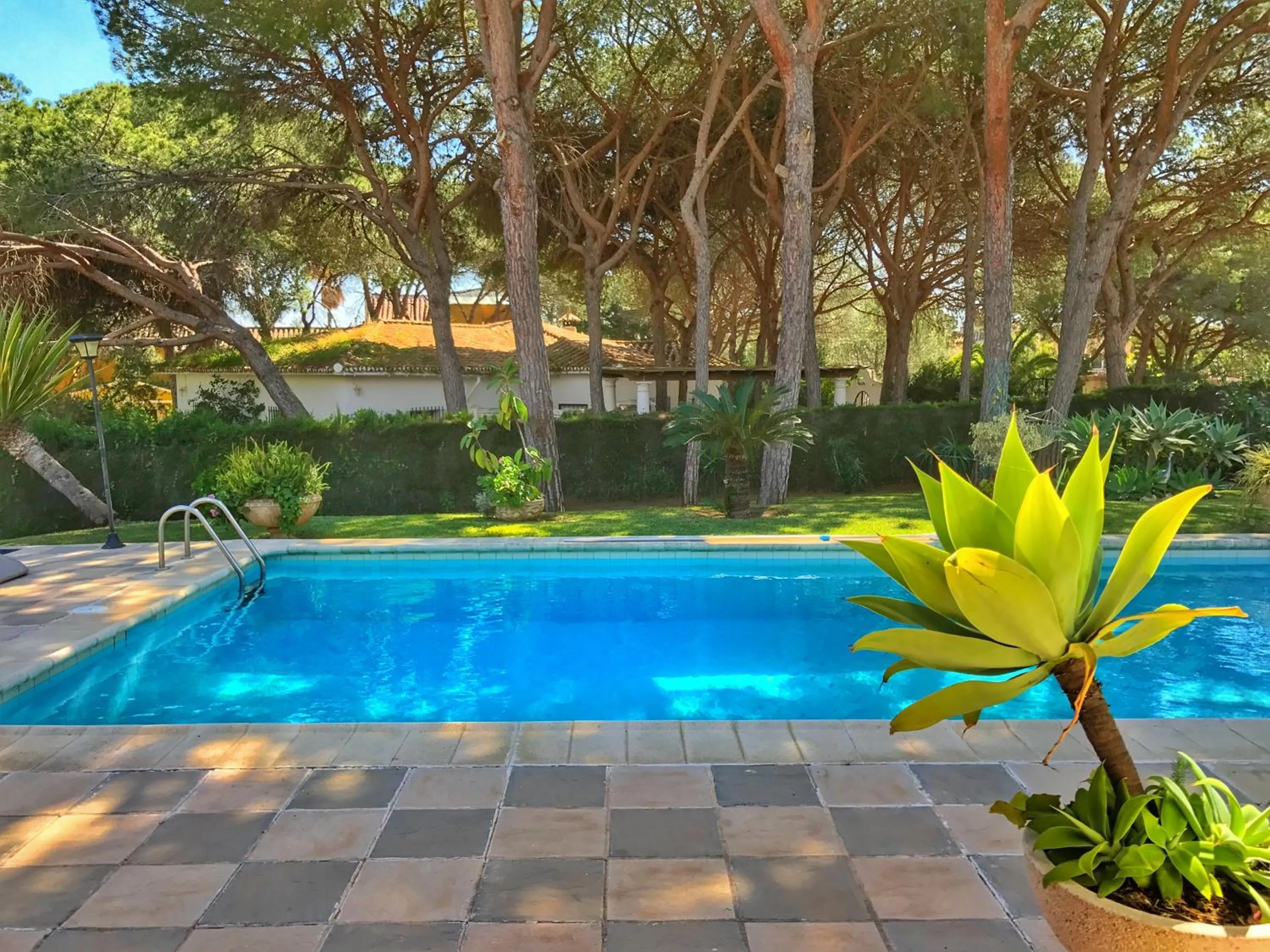 Pool view, Swimming Pool in El Nácar Bed & Breakfast