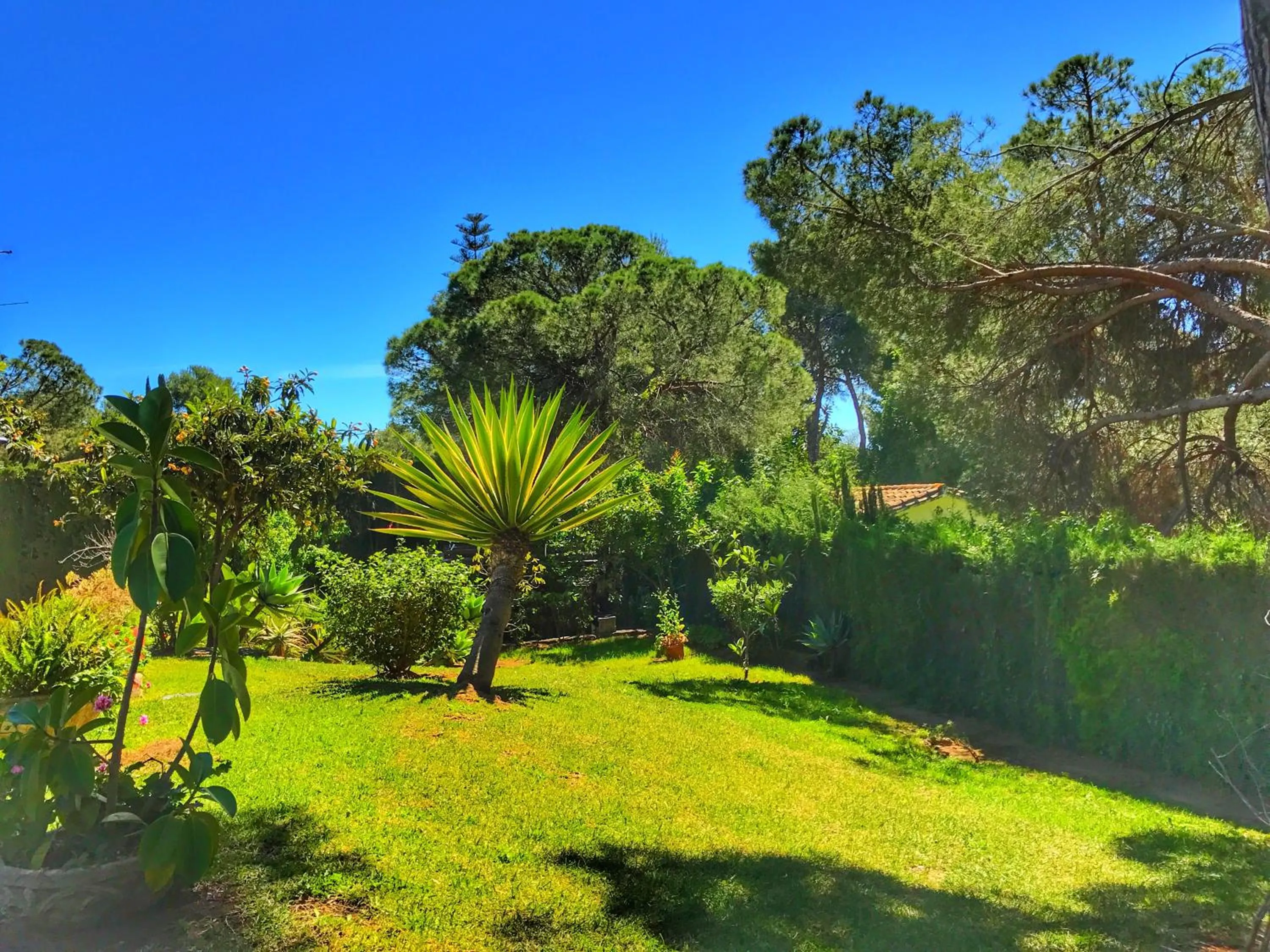 Garden view, Garden in El Nácar Bed & Breakfast