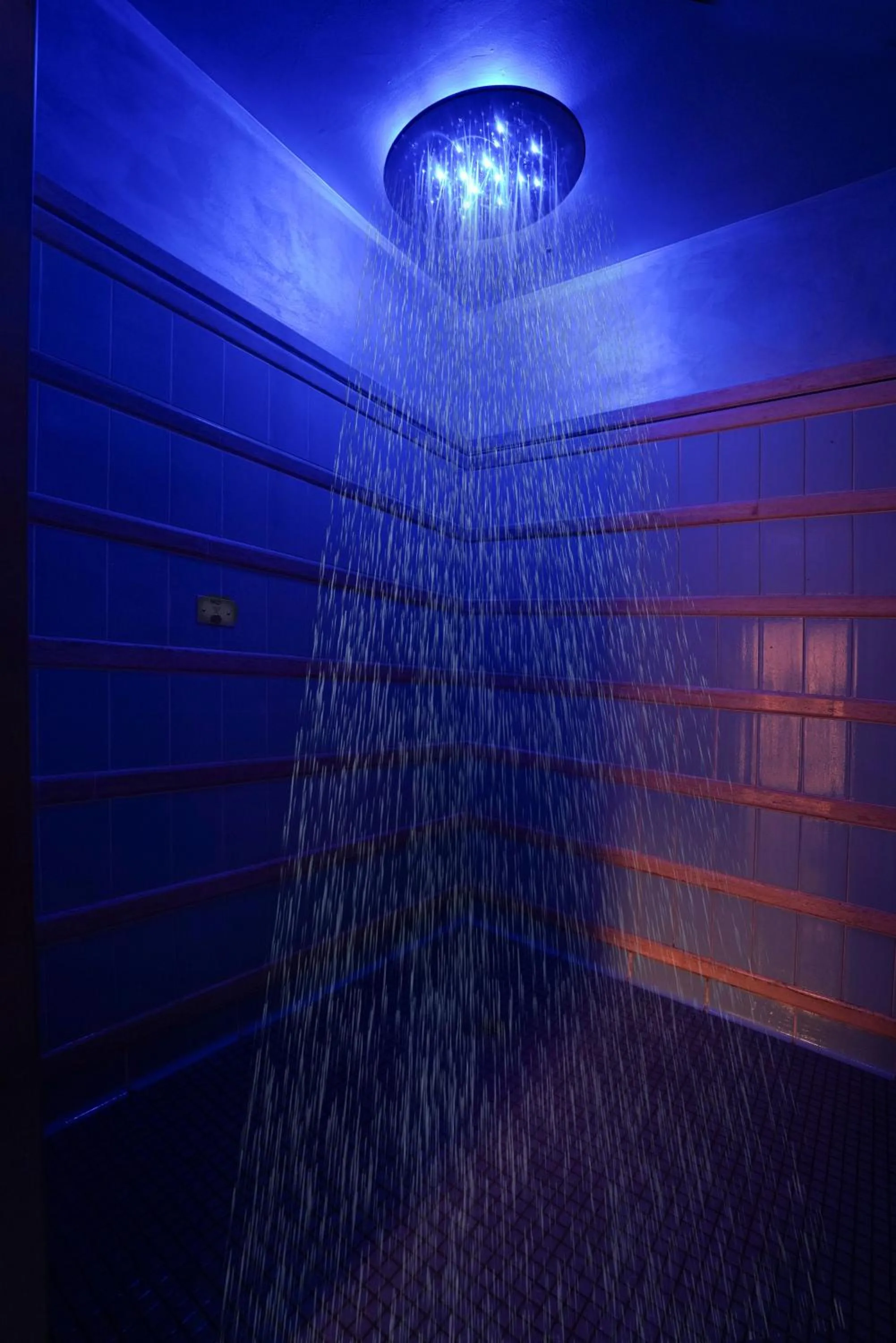 Spa and wellness centre/facilities in Grand Hotel Vittoria