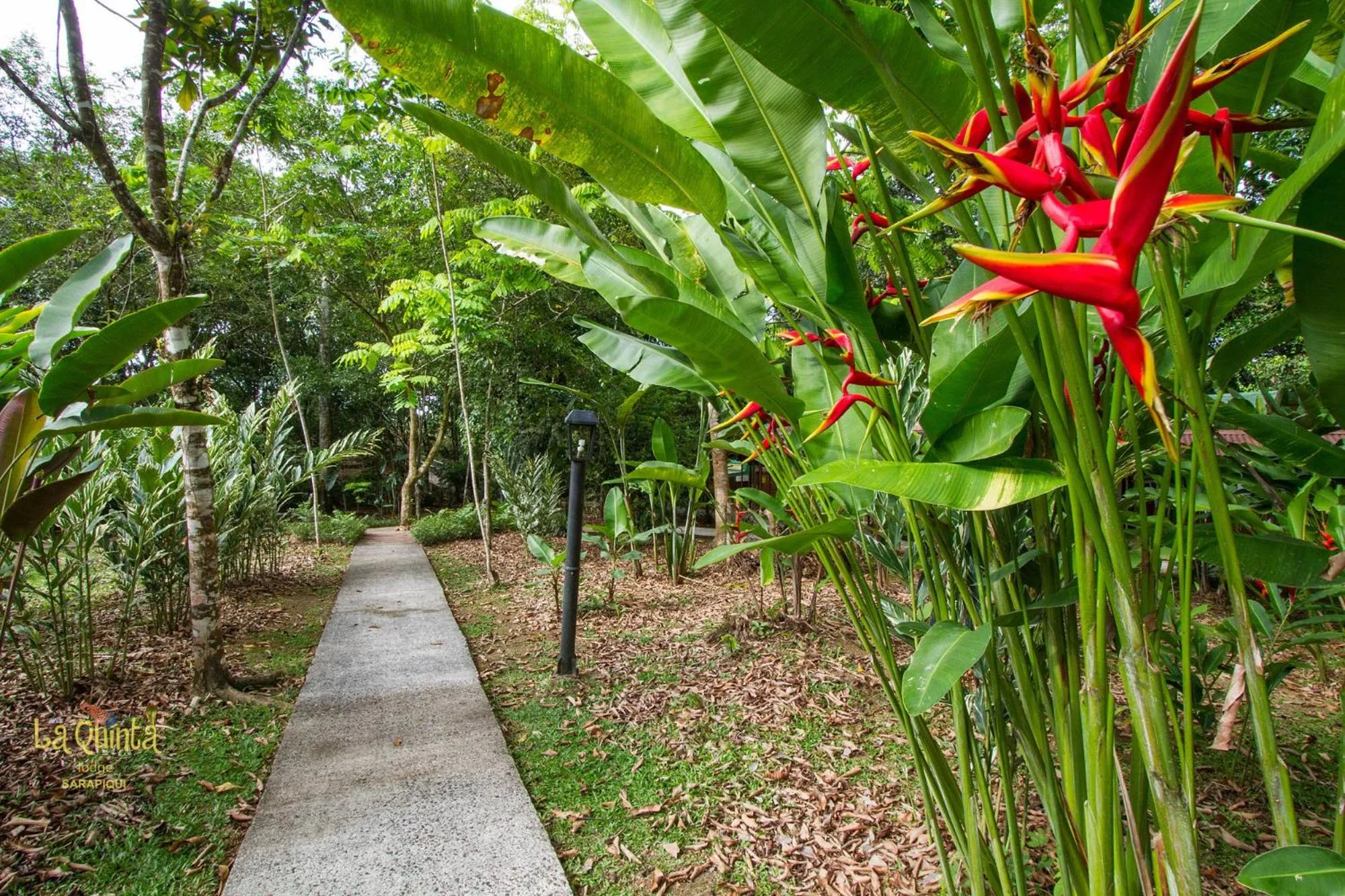 Garden in La Quinta Sarapiqui Lodge