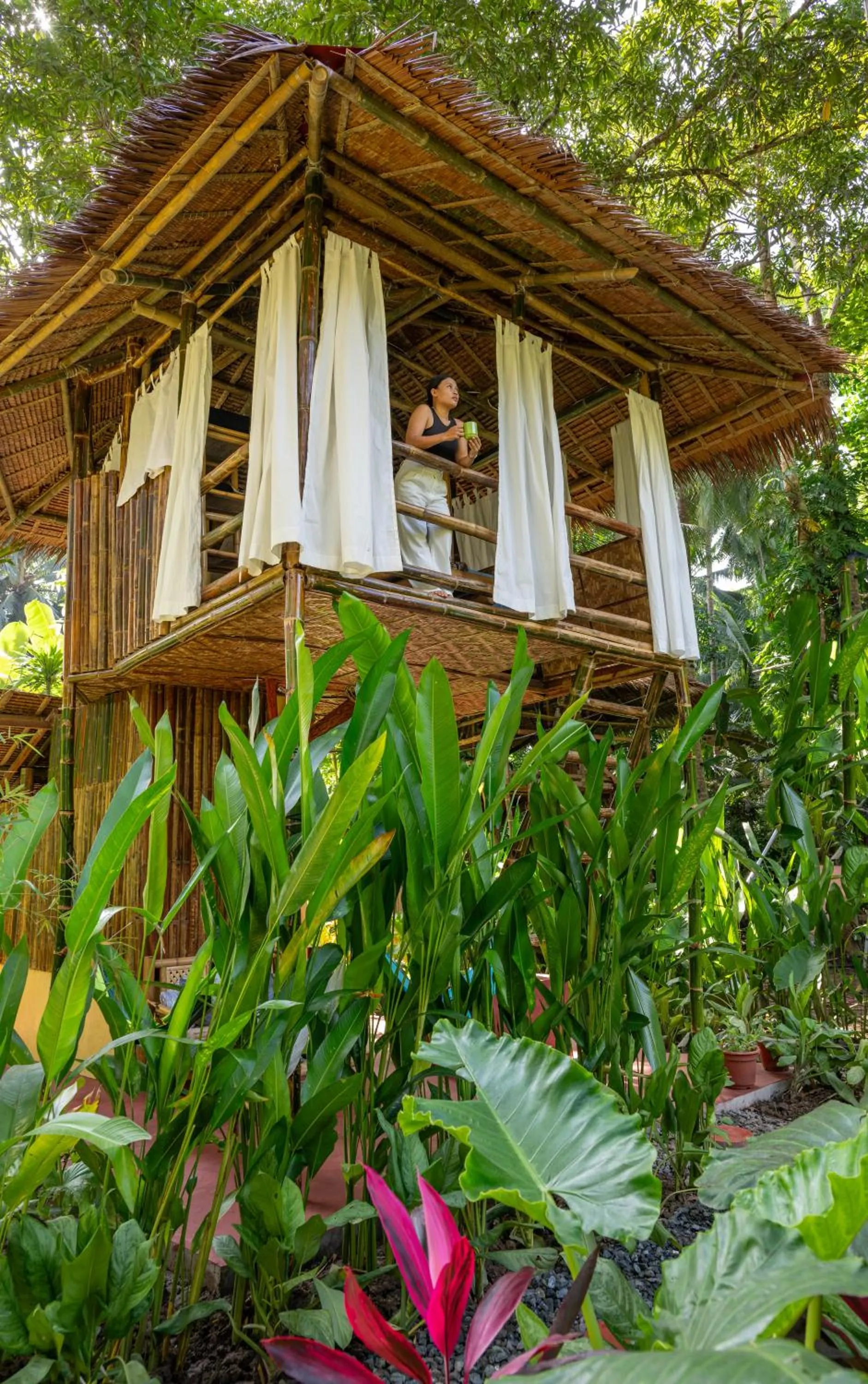 Water to Forest Ecolodge