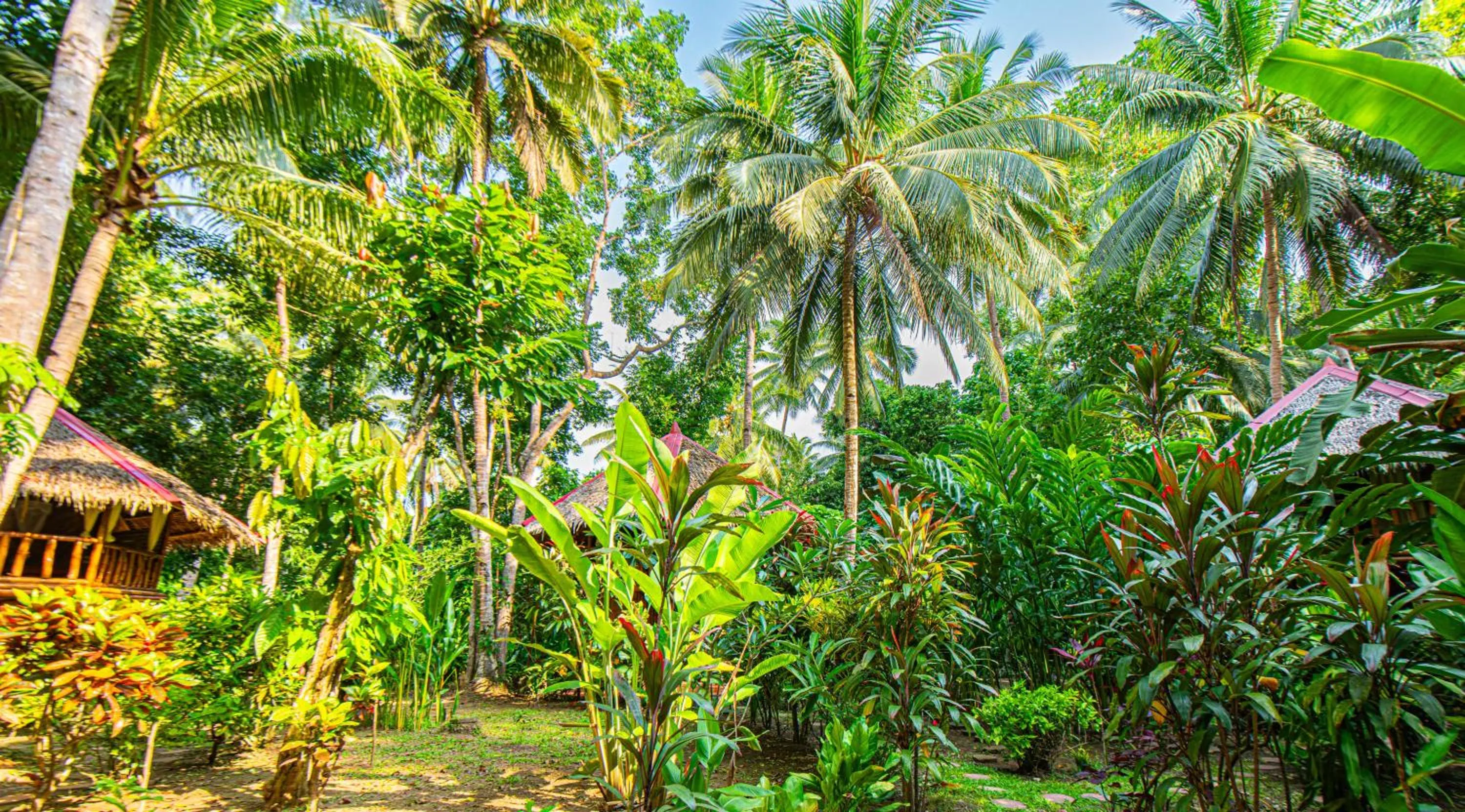 Water to Forest Ecolodge