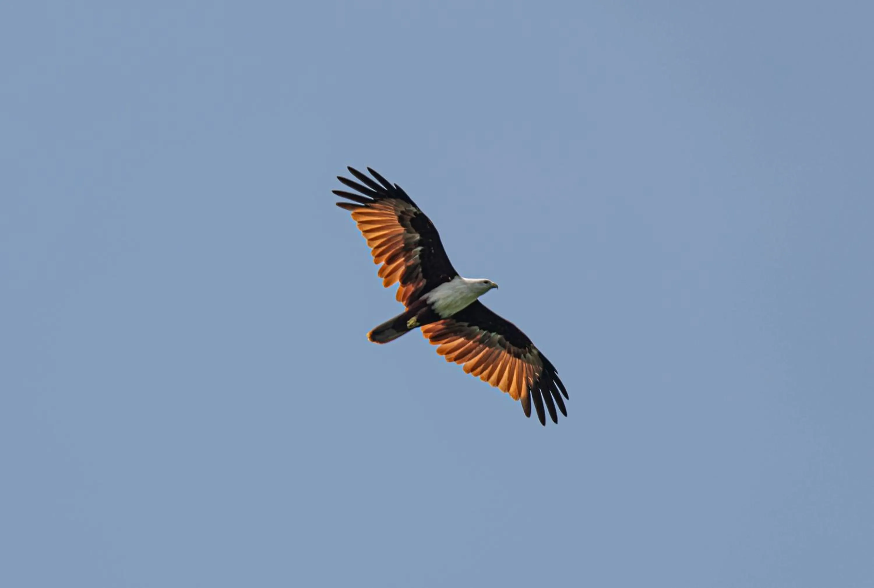 Water to Forest Ecolodge