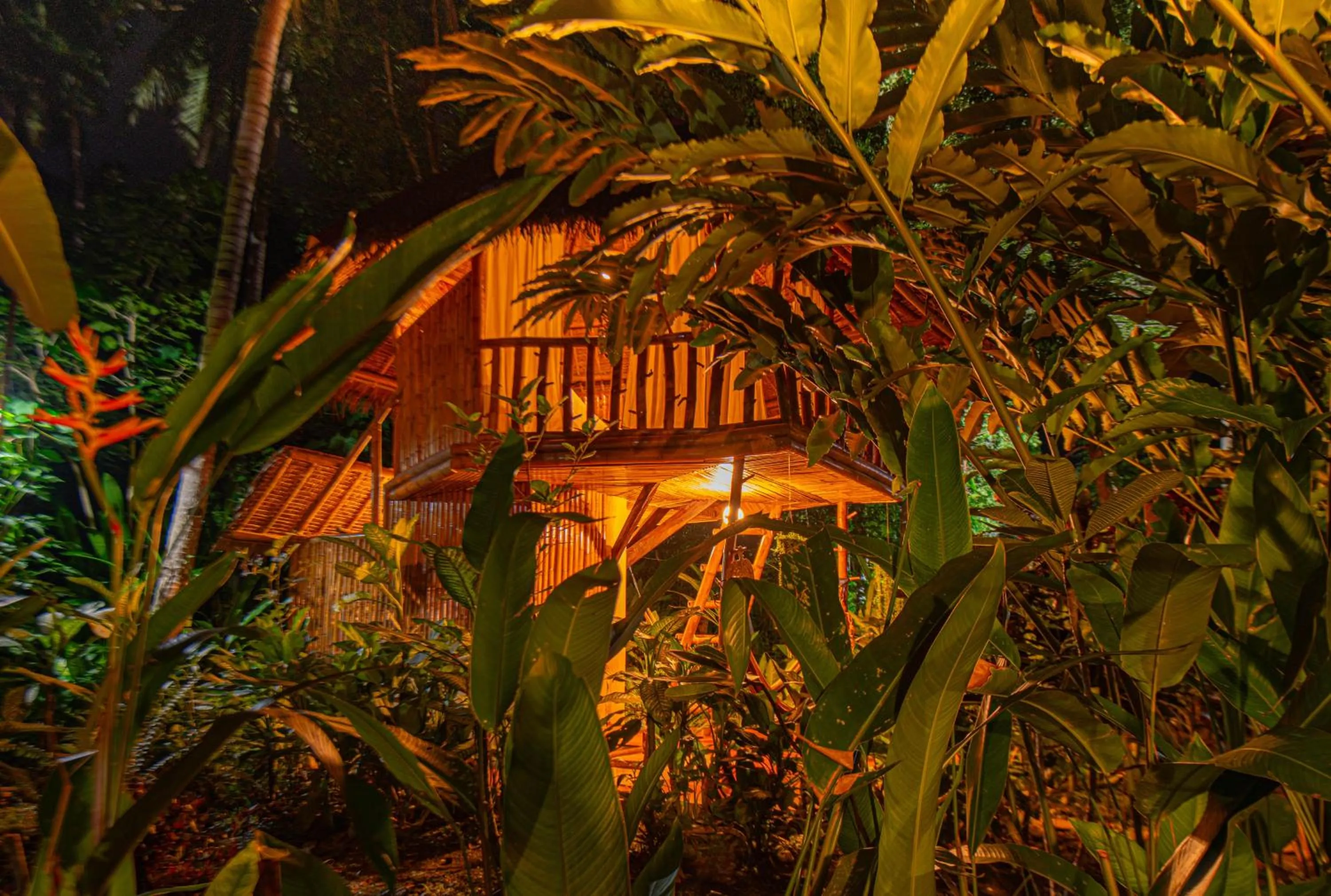 Water to Forest Ecolodge