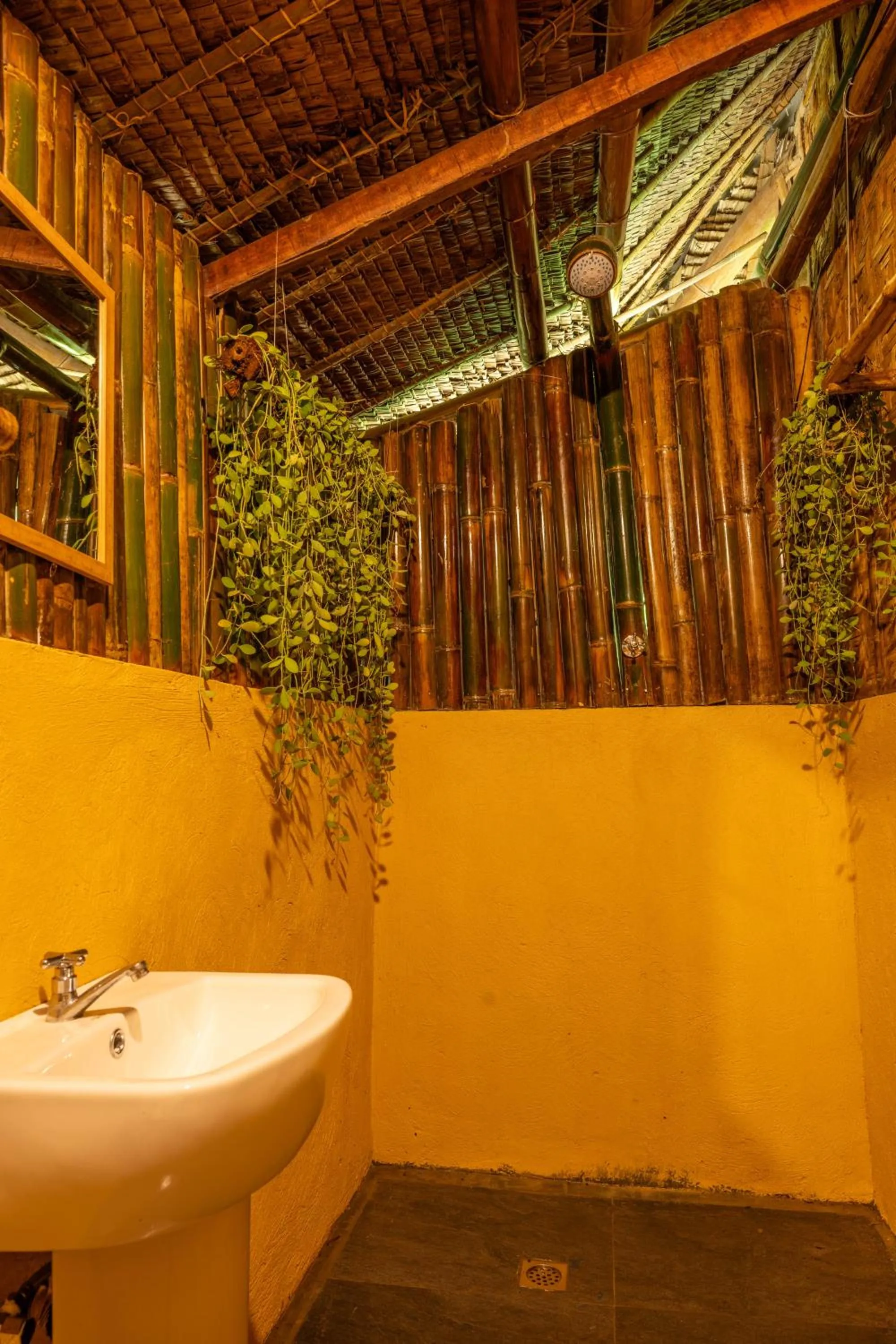 Water to Forest Ecolodge