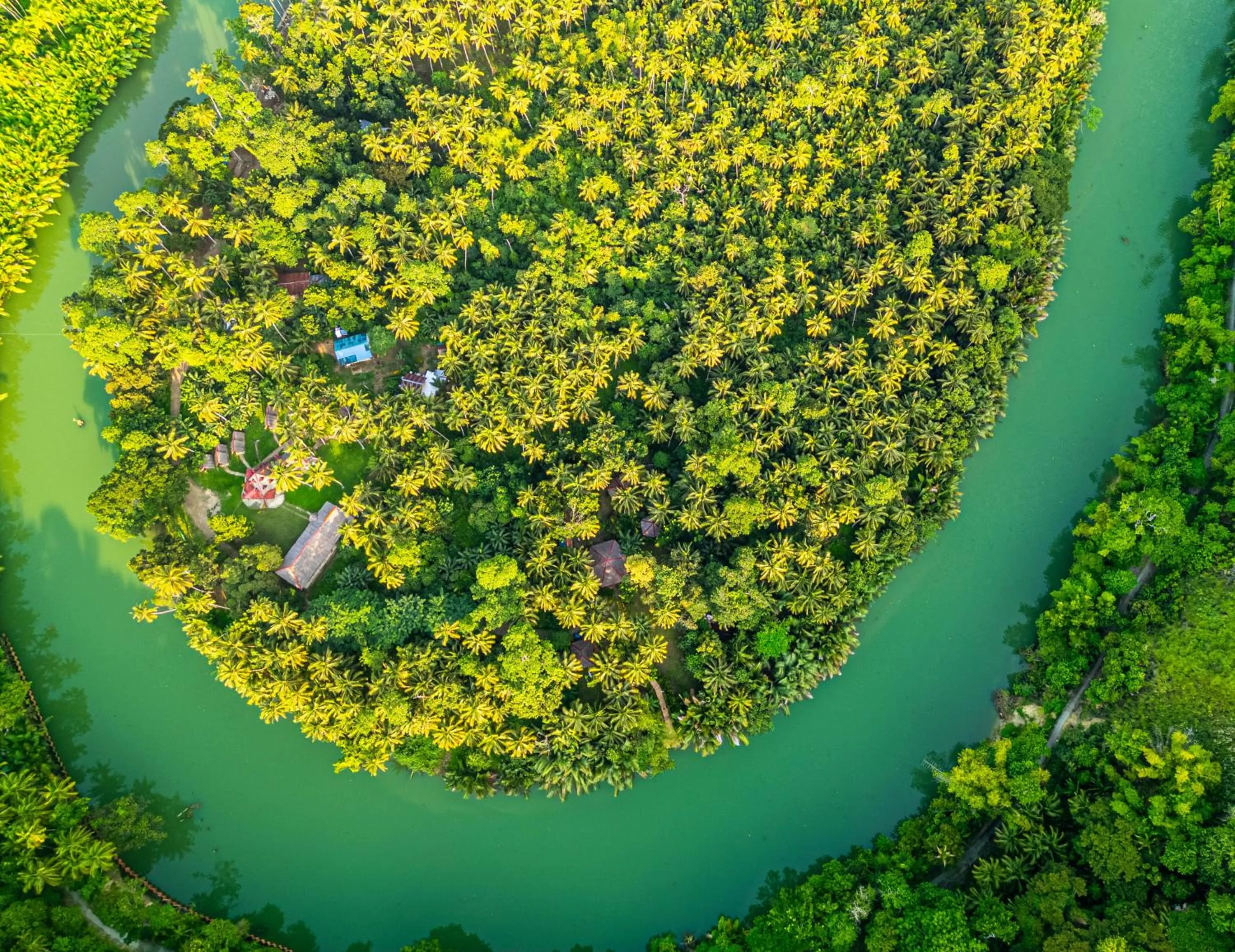 Water to Forest Ecolodge