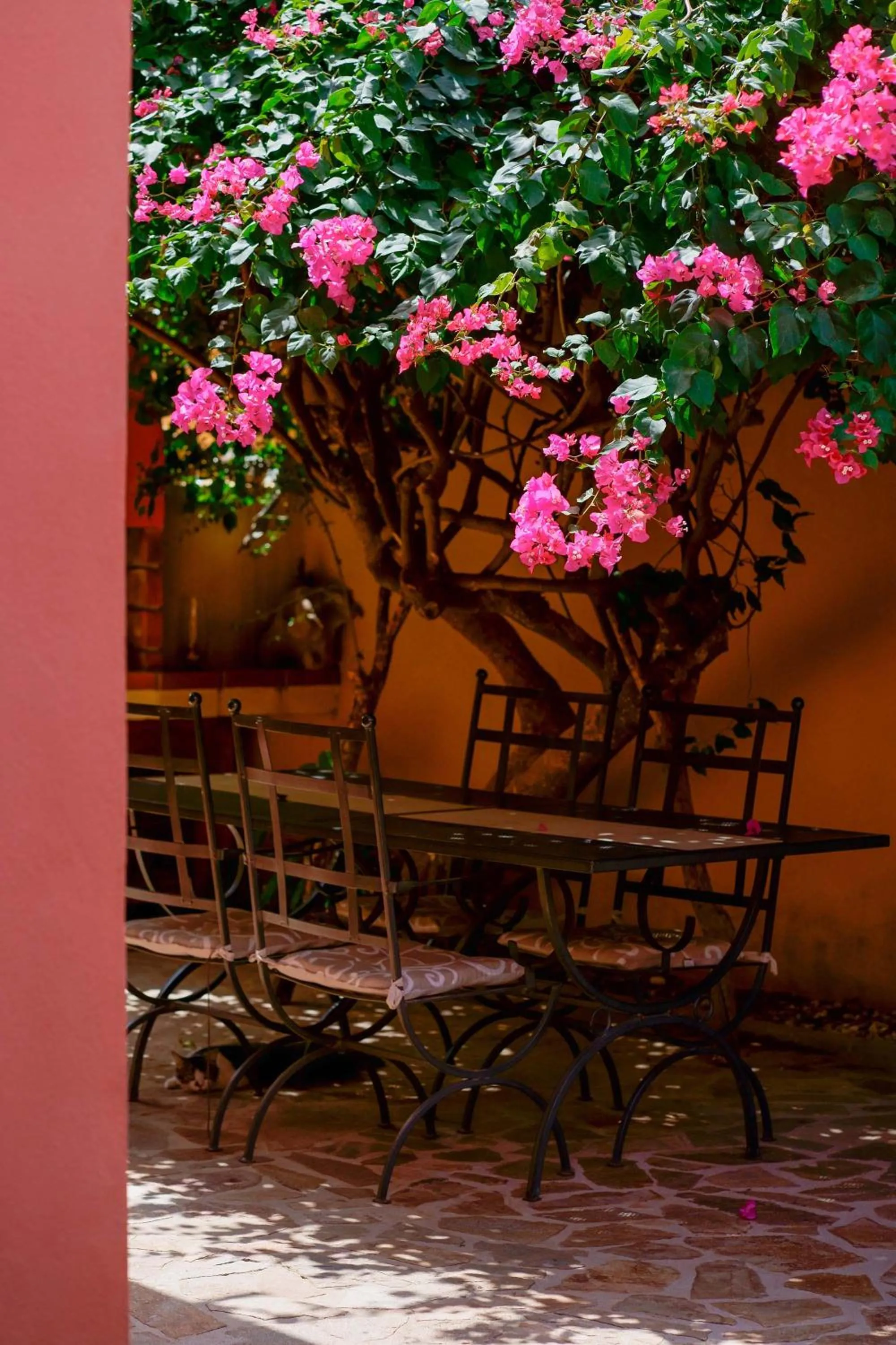 Garden in Il Piccolo Giardino rooms & breakfast