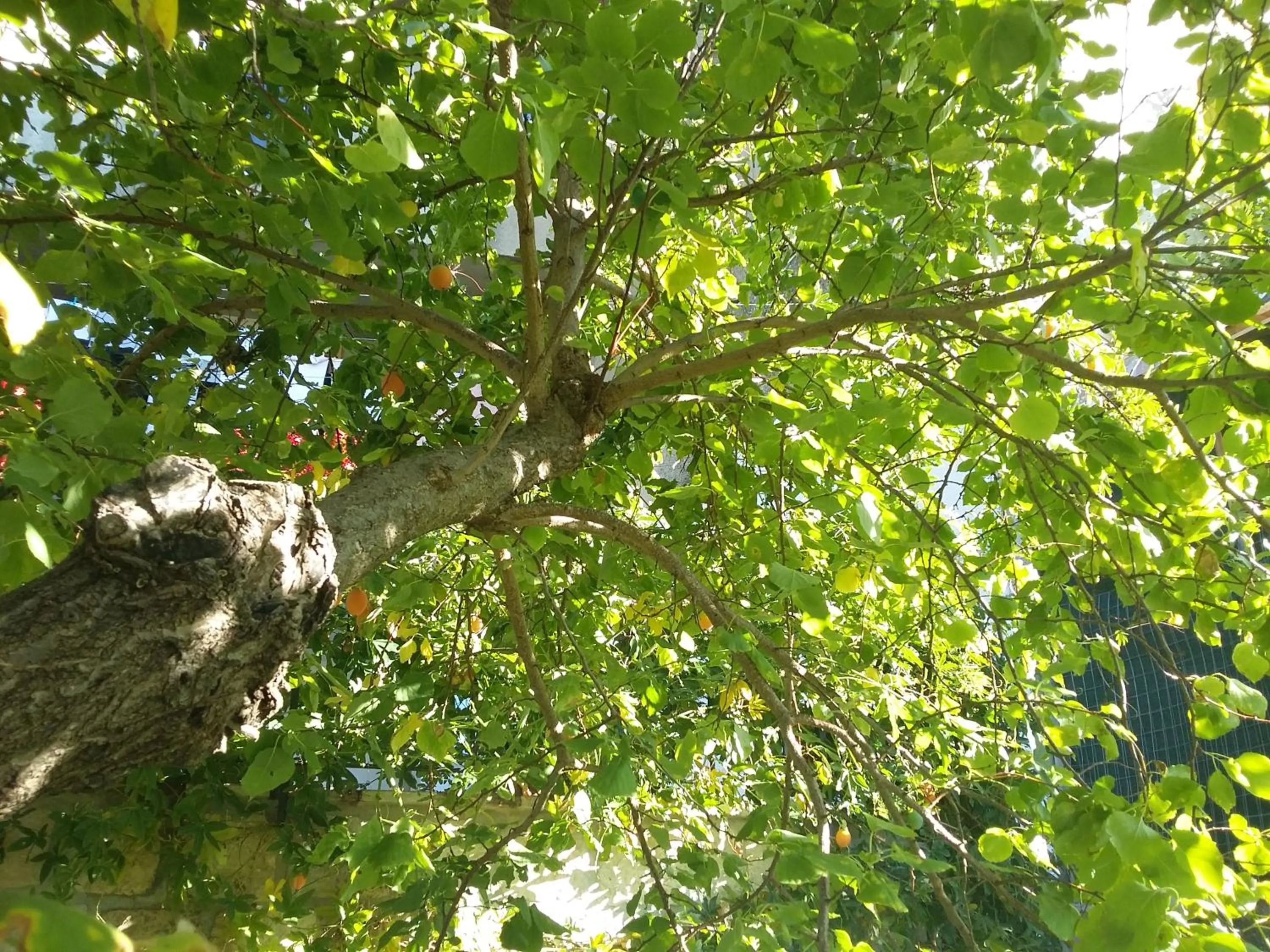 Property building in Cusanarella Mia