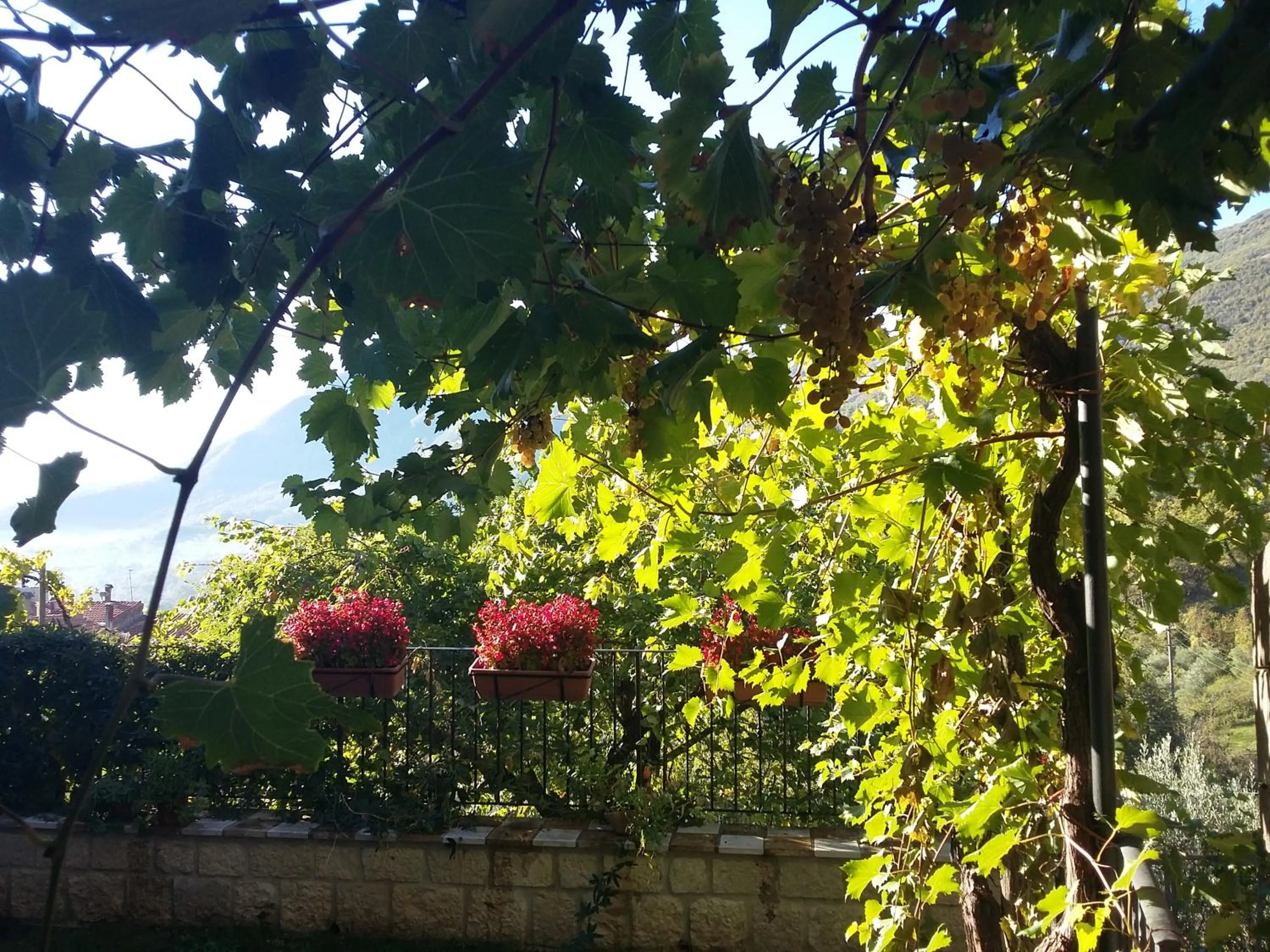 Property building in Cusanarella Mia