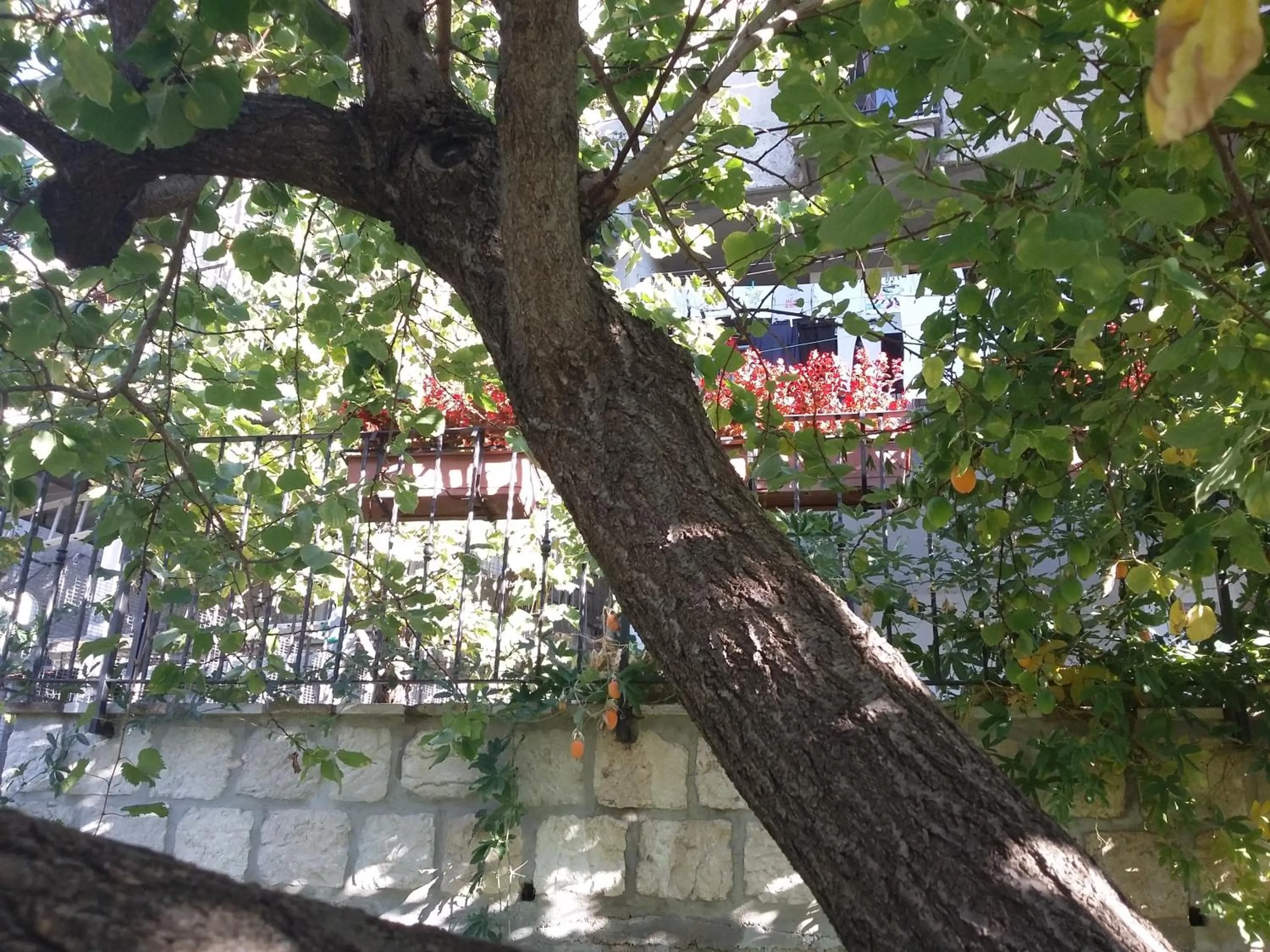 Property building in Cusanarella Mia