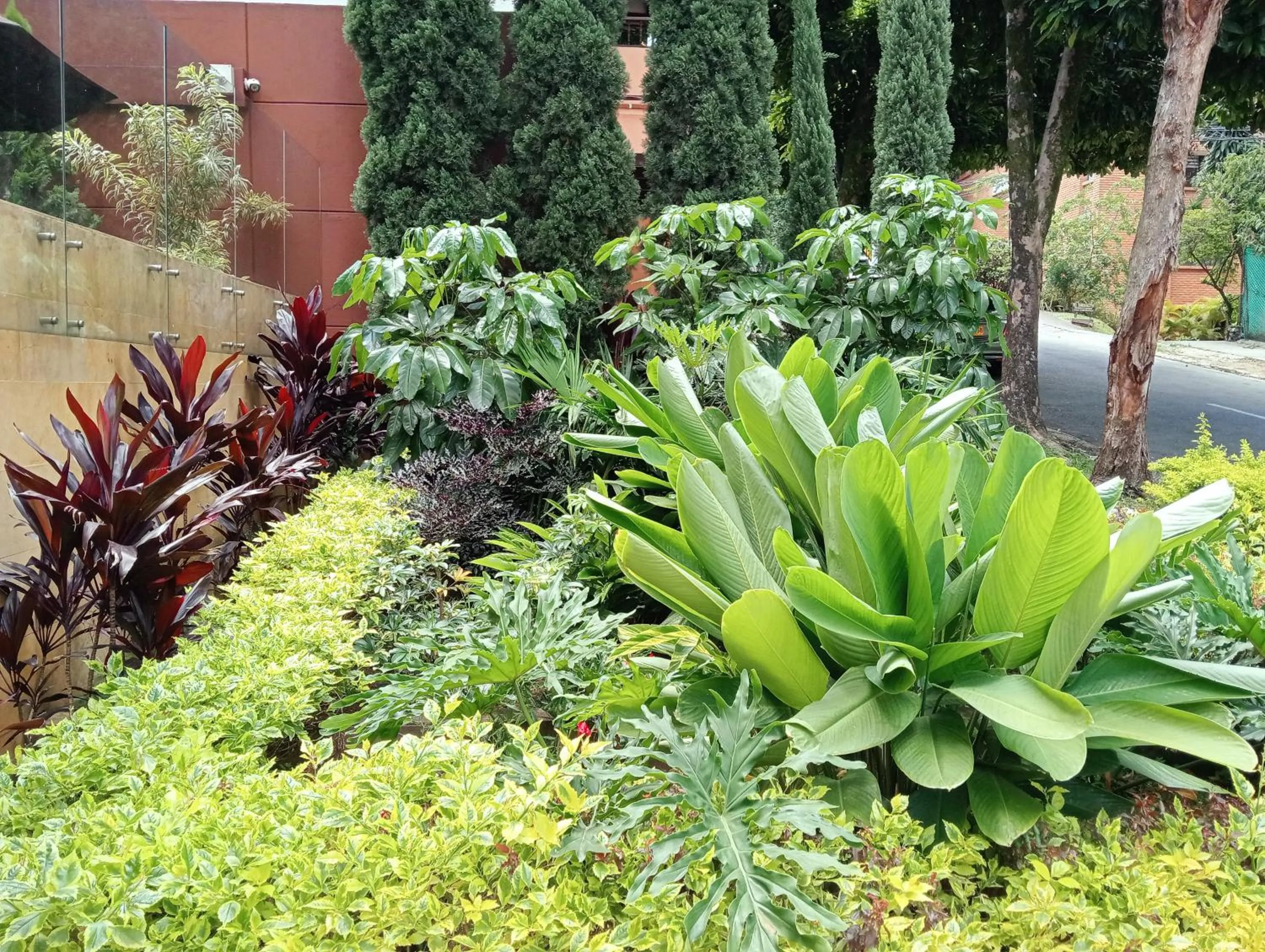 Garden in Hotel Lomas 10 Medellin