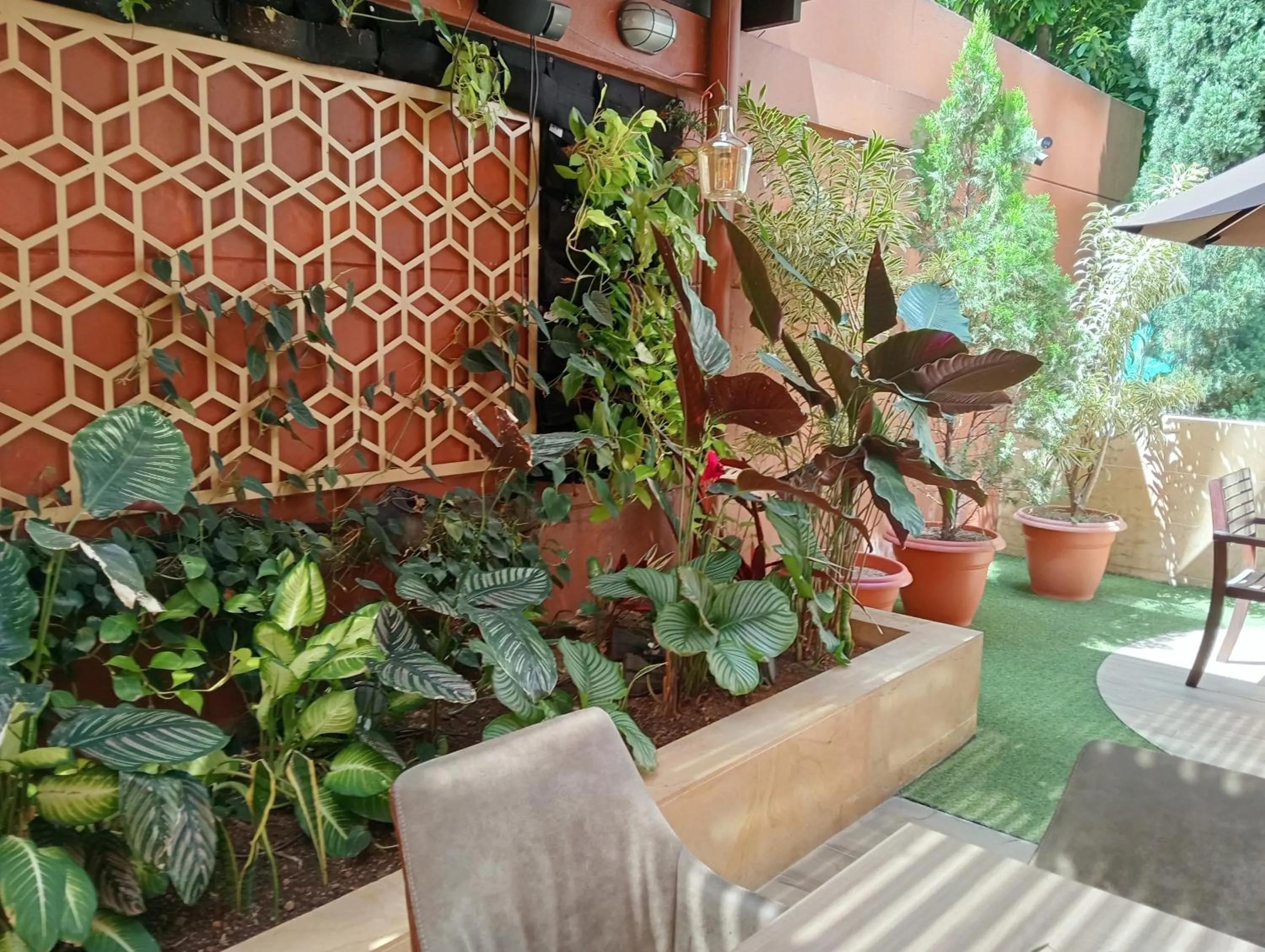 Garden in Hotel Lomas 10 Medellin