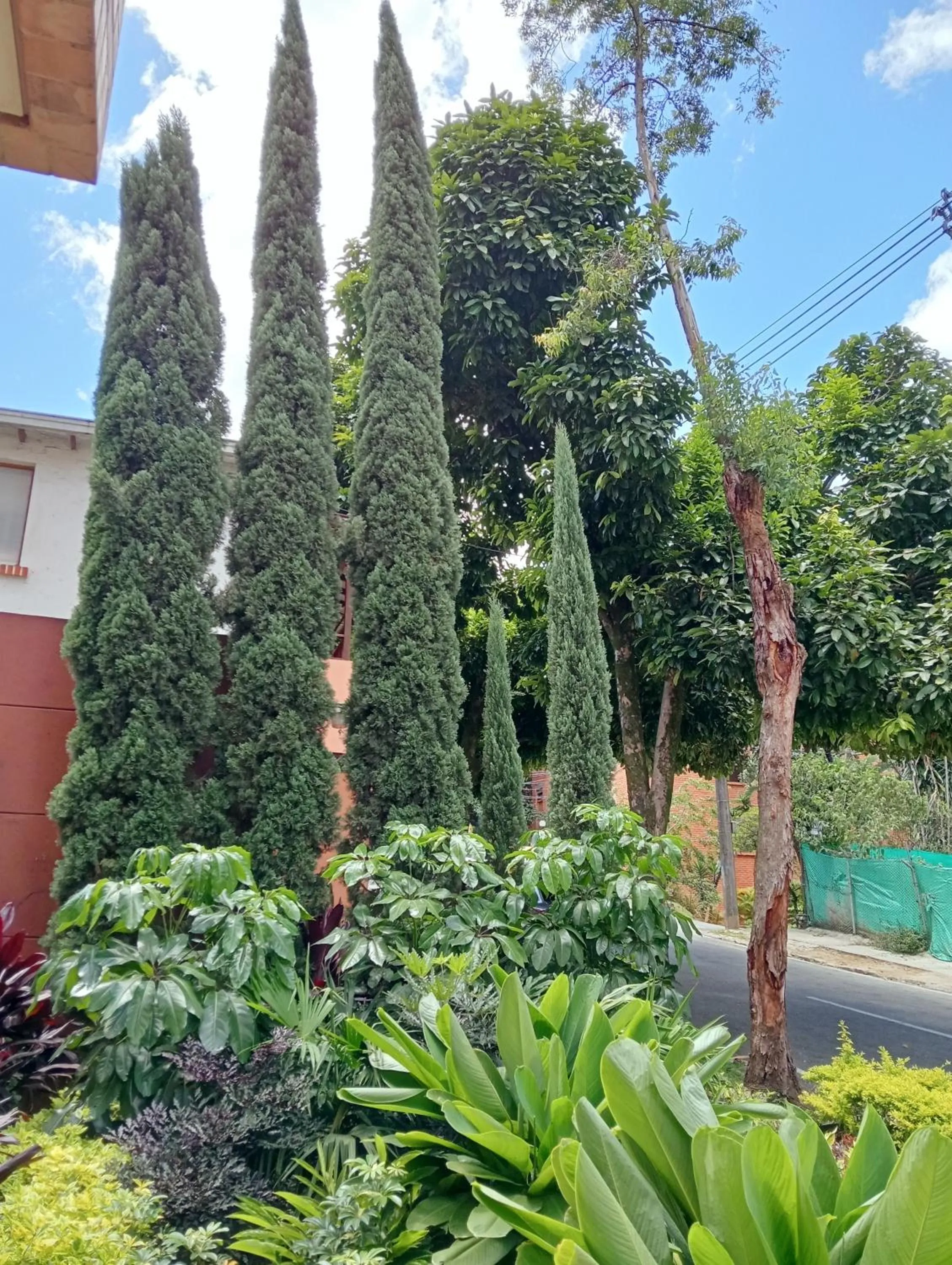 Garden in Hotel Lomas 10 Medellin