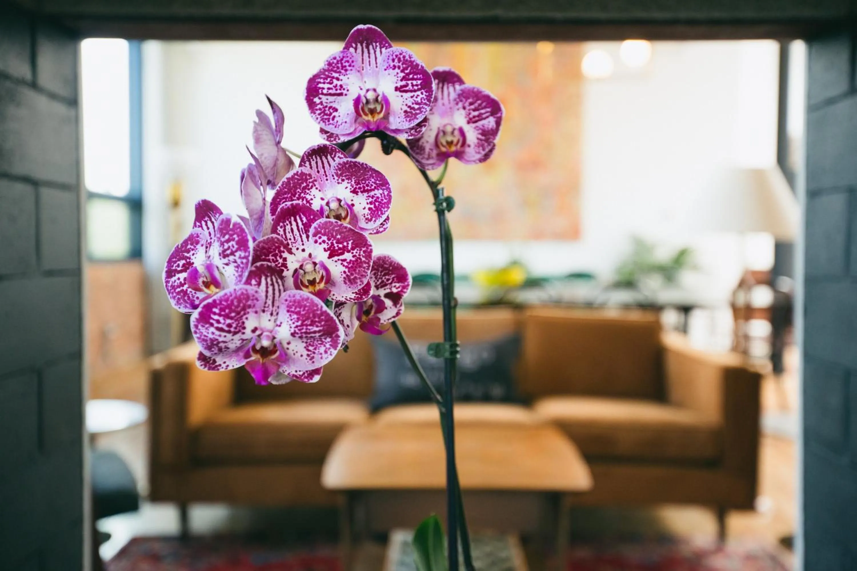 Decorative detail in The Publishing House Bed and Breakfast