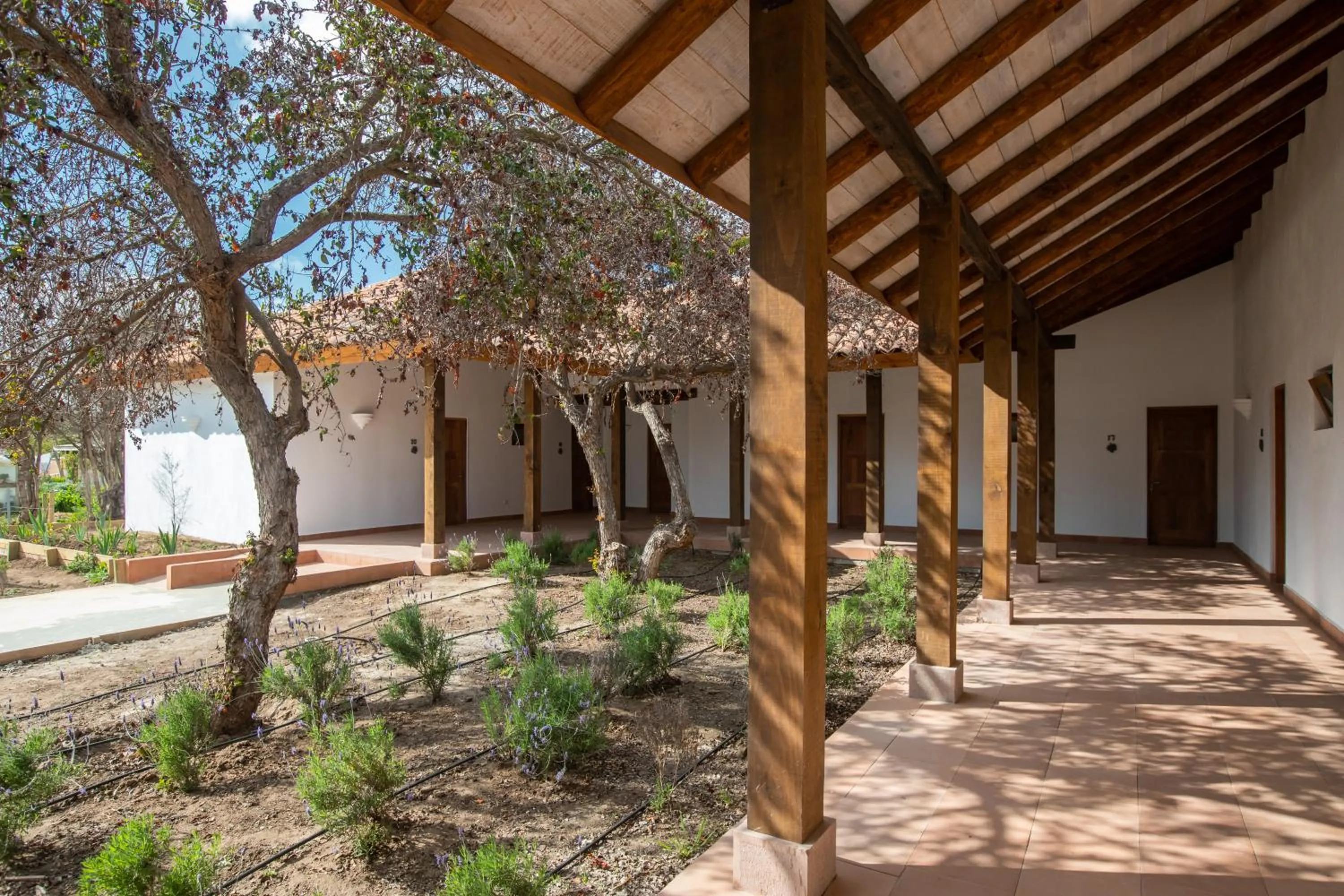 Hotel Boutique BC Wine Casablanca