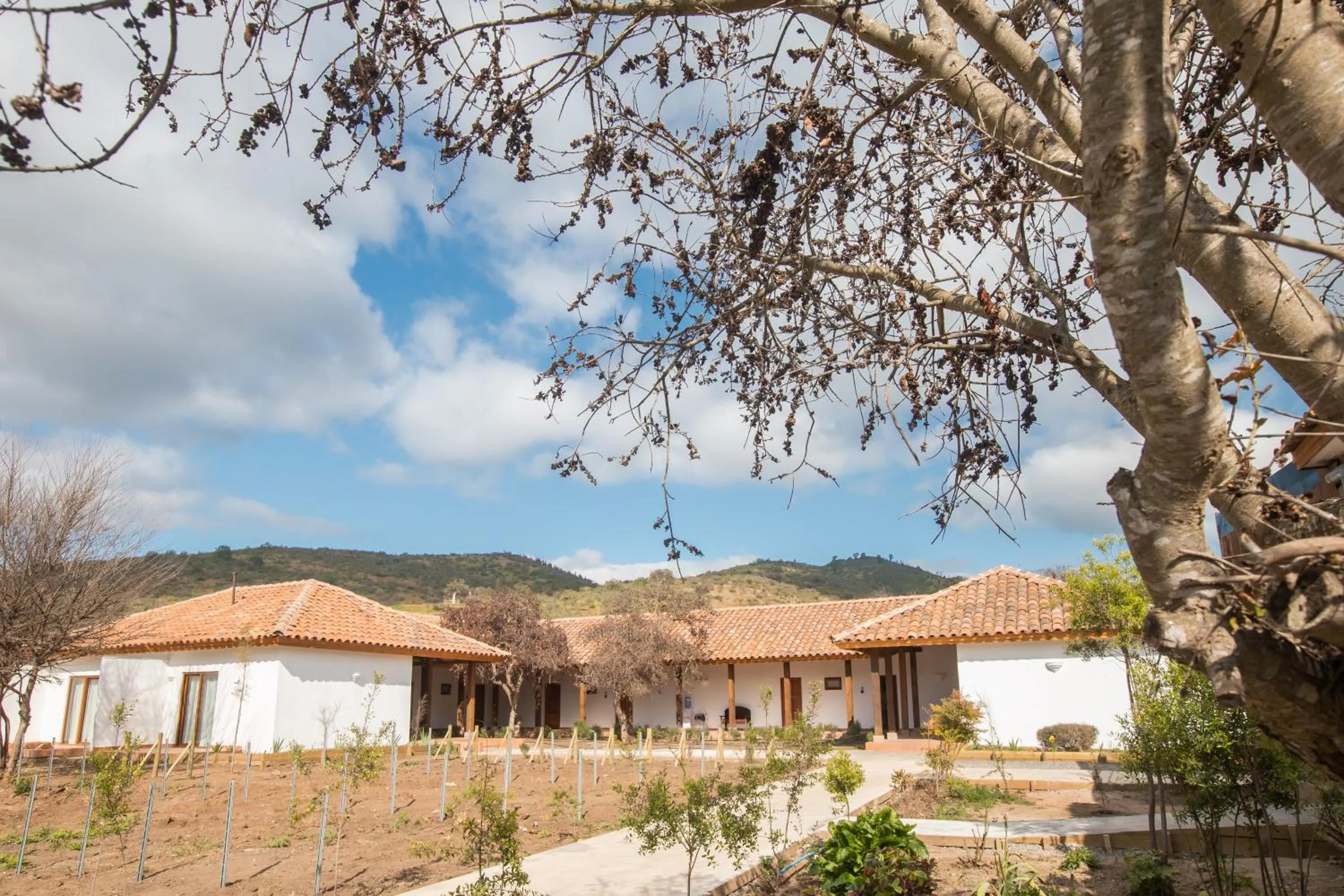 Hotel Boutique BC Wine Casablanca