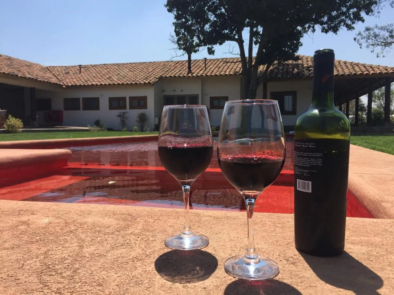 Garden in Hotel Boutique BC Wine Casablanca